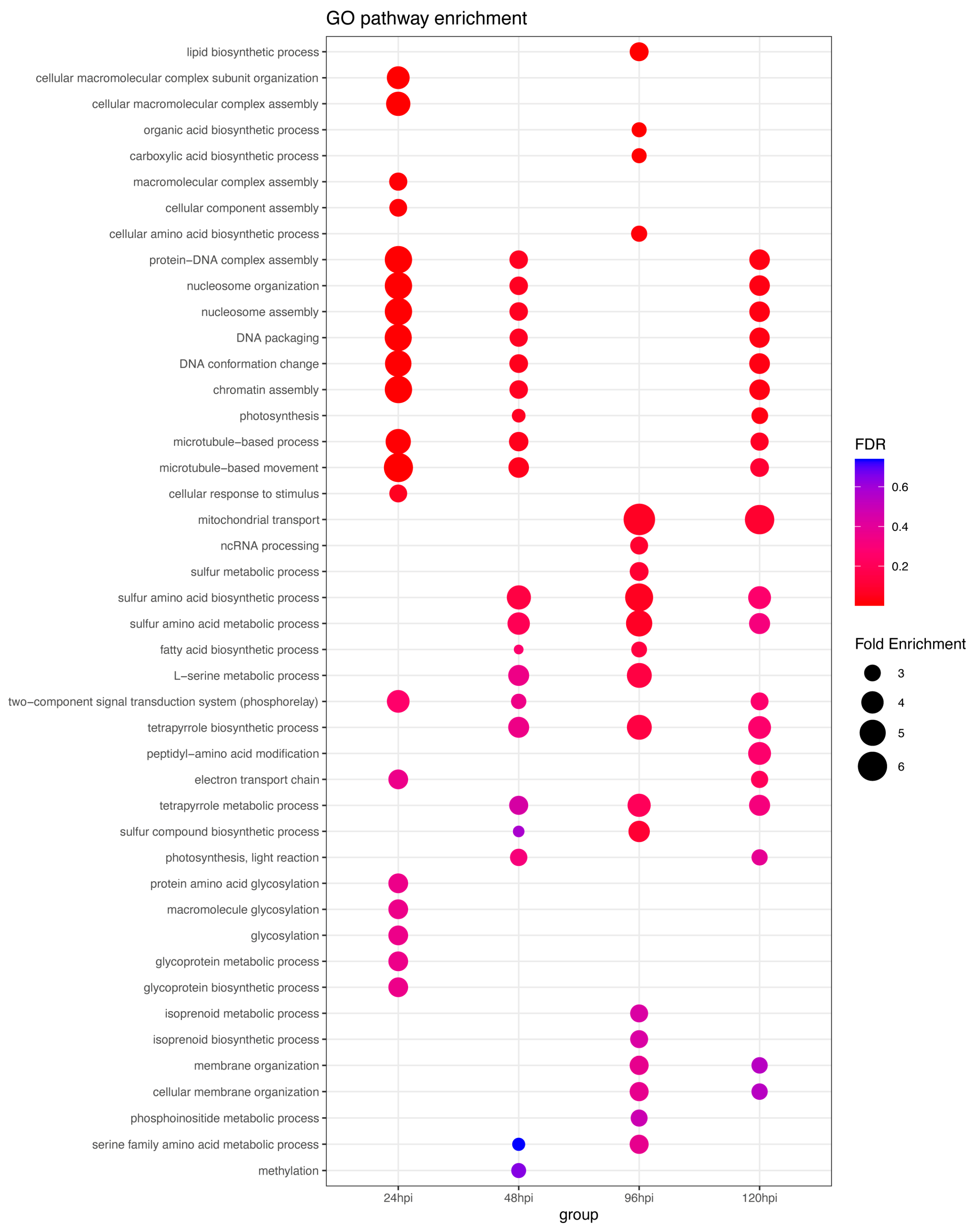 Plants 13 03408 g004