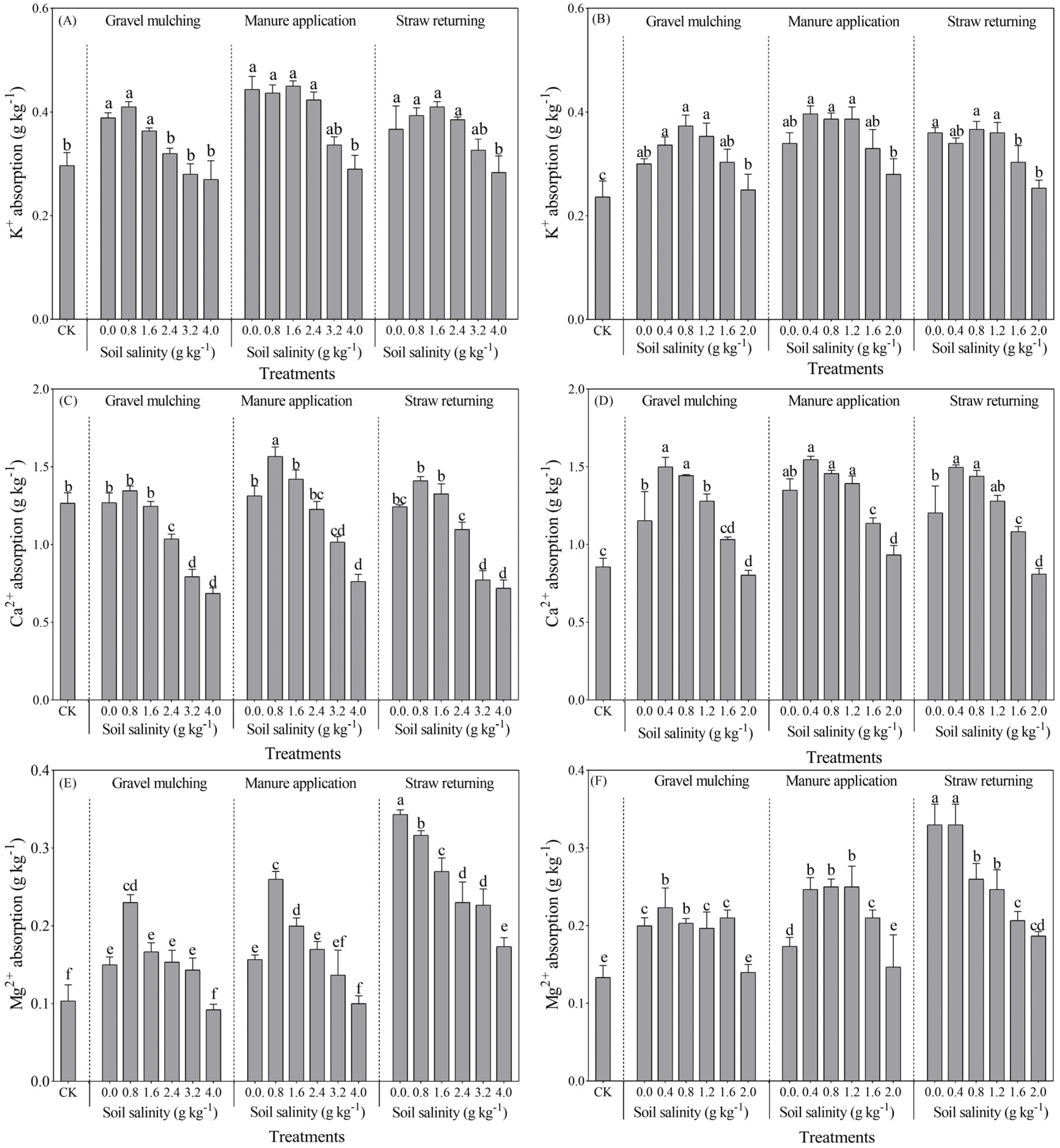 Plants 13 03413 g010