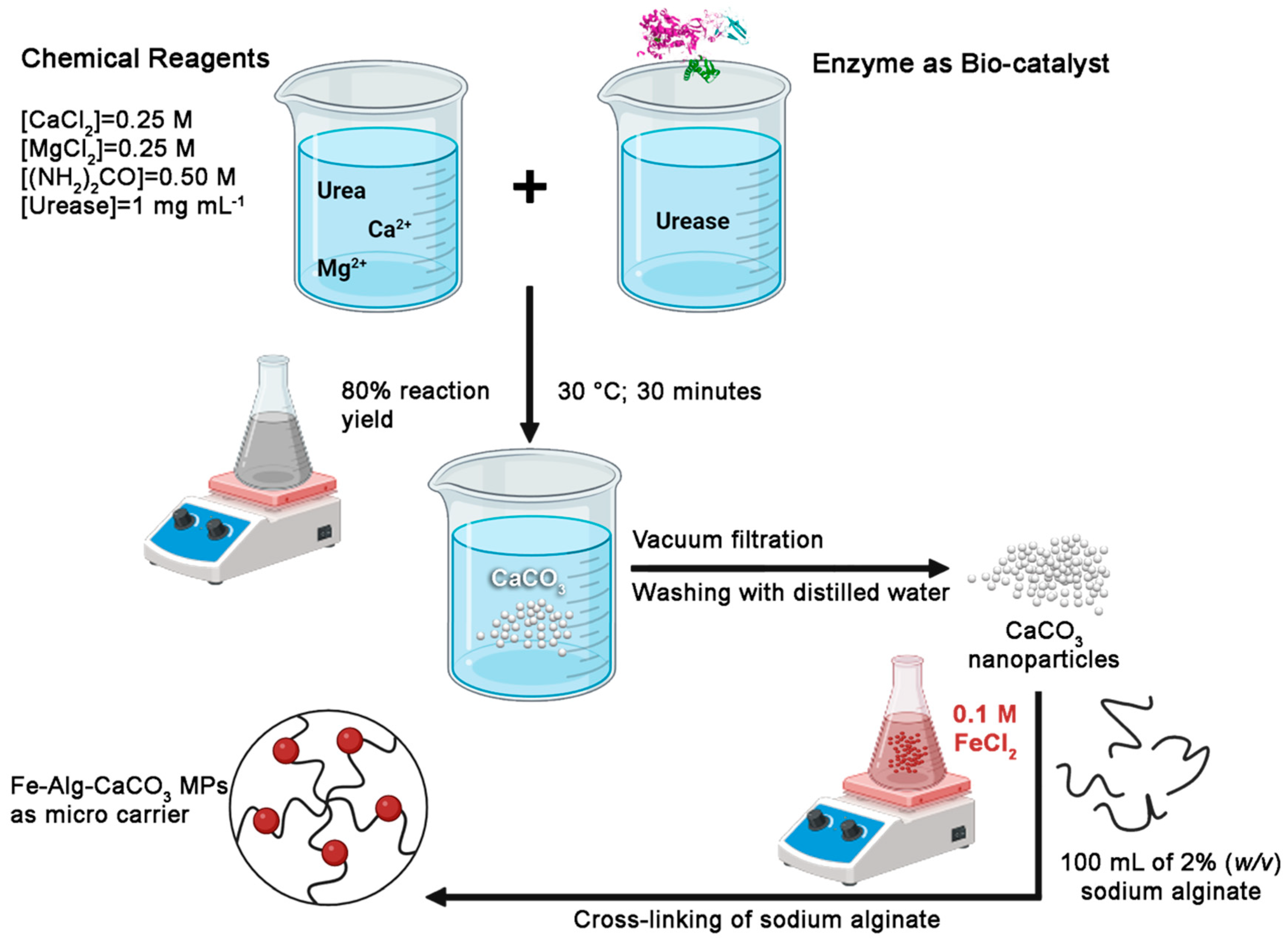 Plants 13 03416 g005