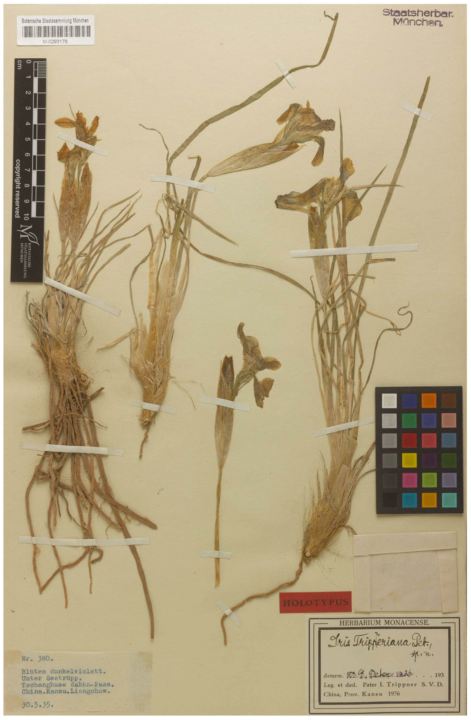 Plants 13 03418 g005