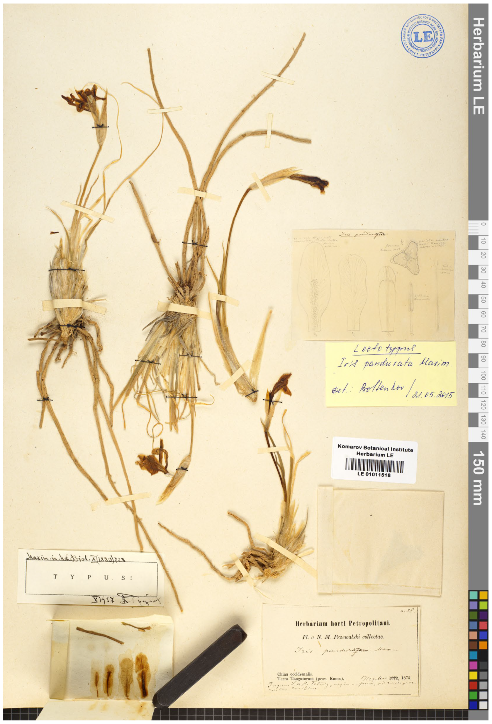 Plants 13 03418 g006