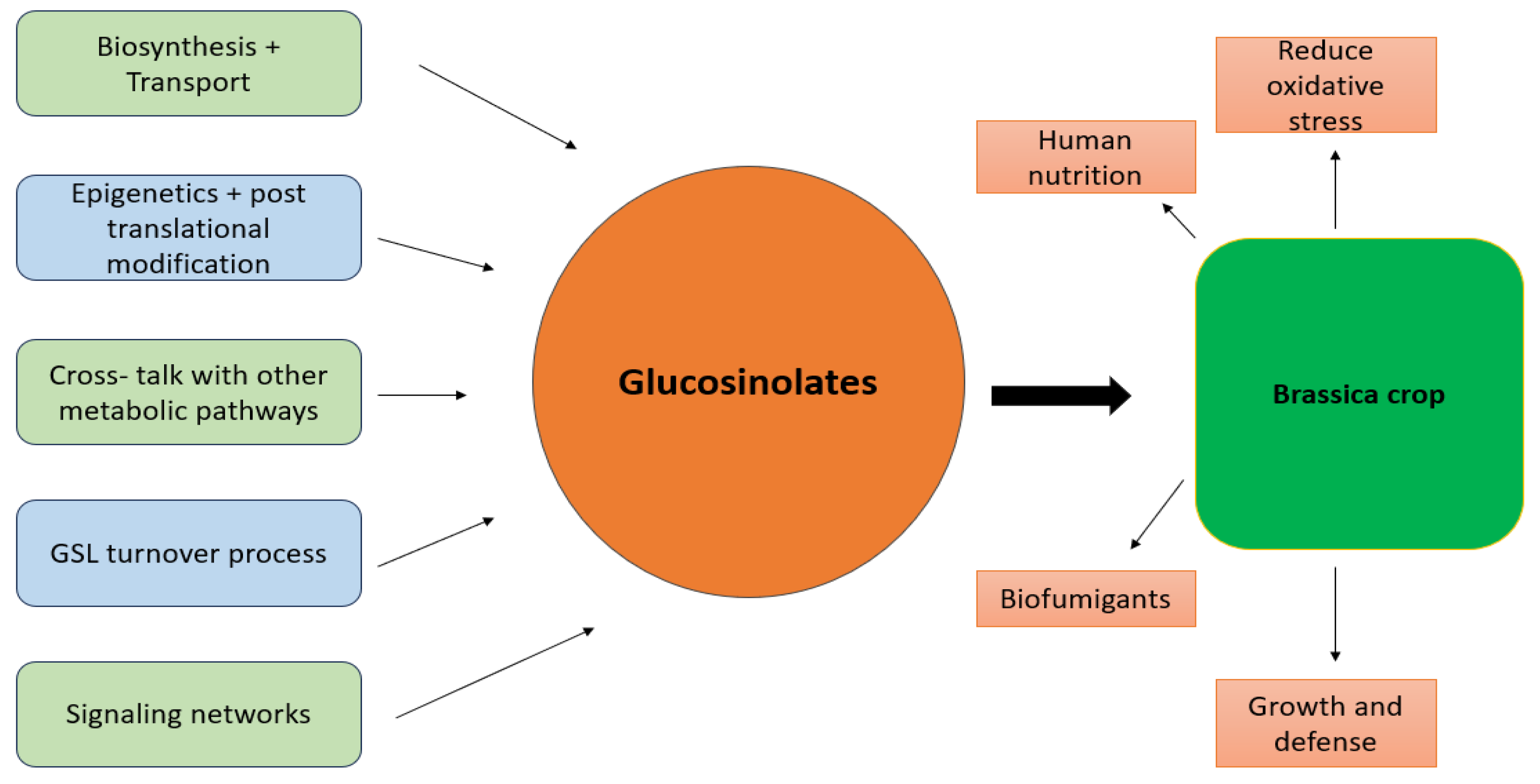 Plants 13 03422 g003