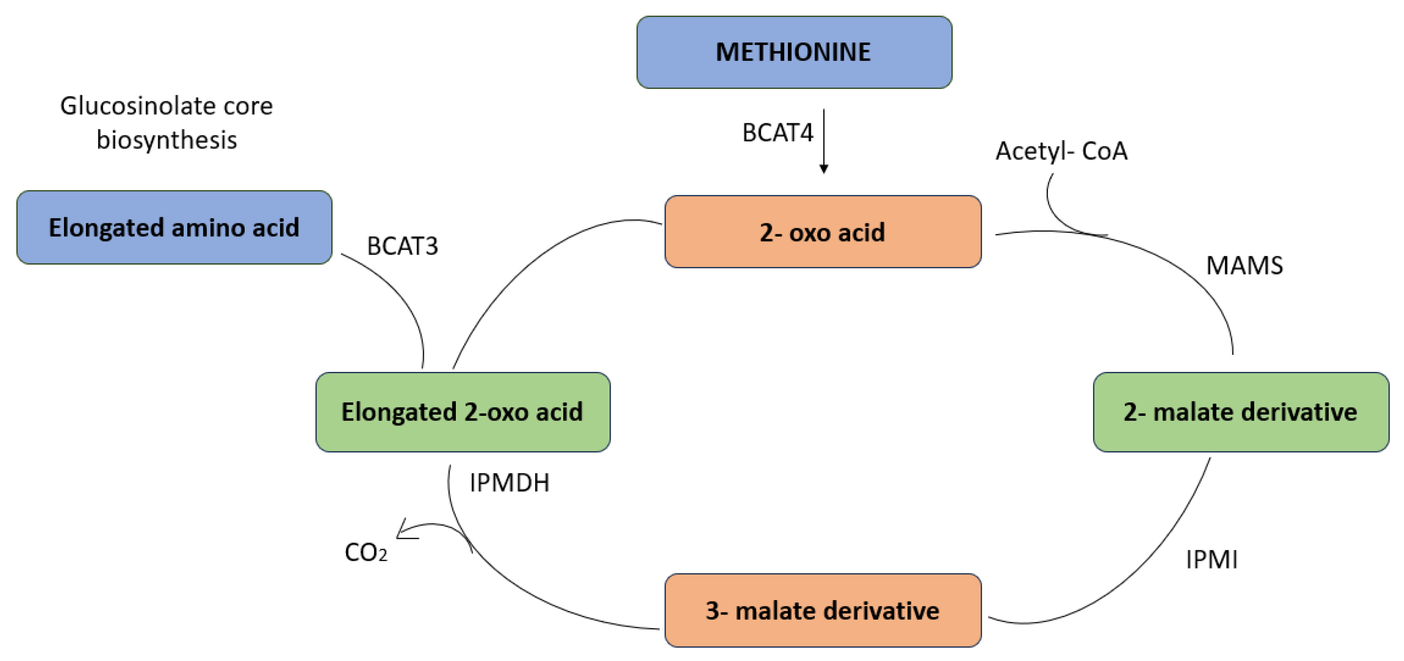 Plants 13 03422 g004