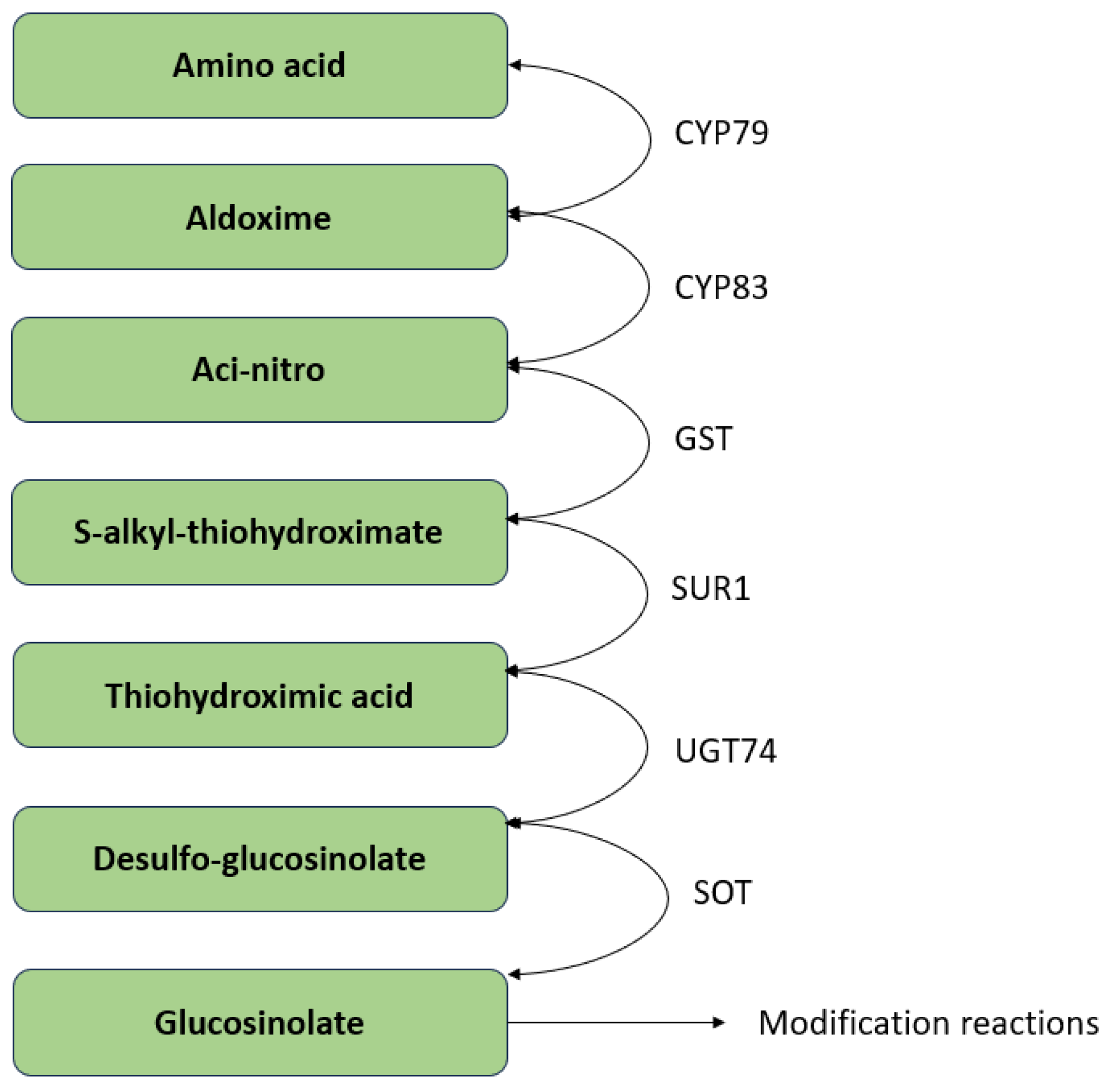 Plants 13 03422 g005