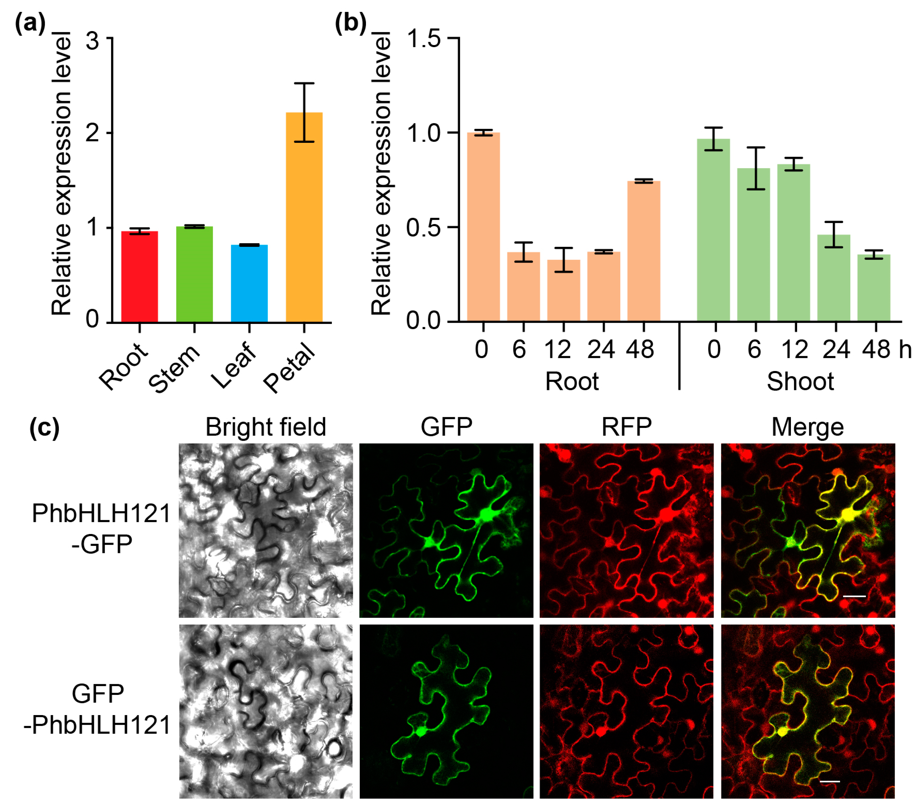 Plants 13 03429 g002