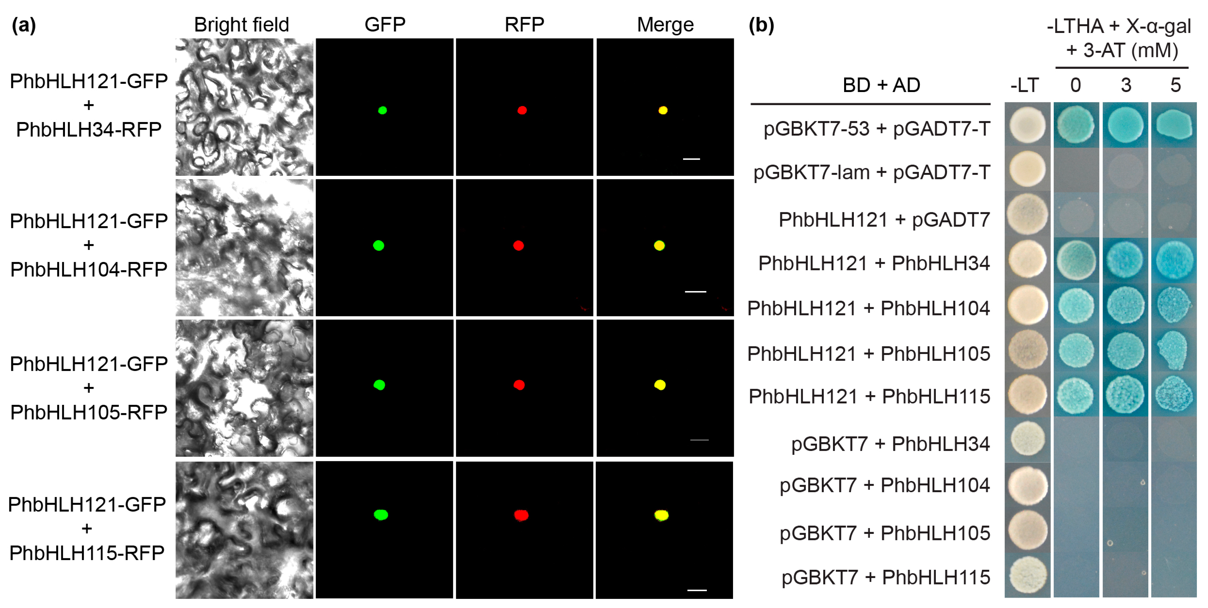 Plants 13 03429 g003