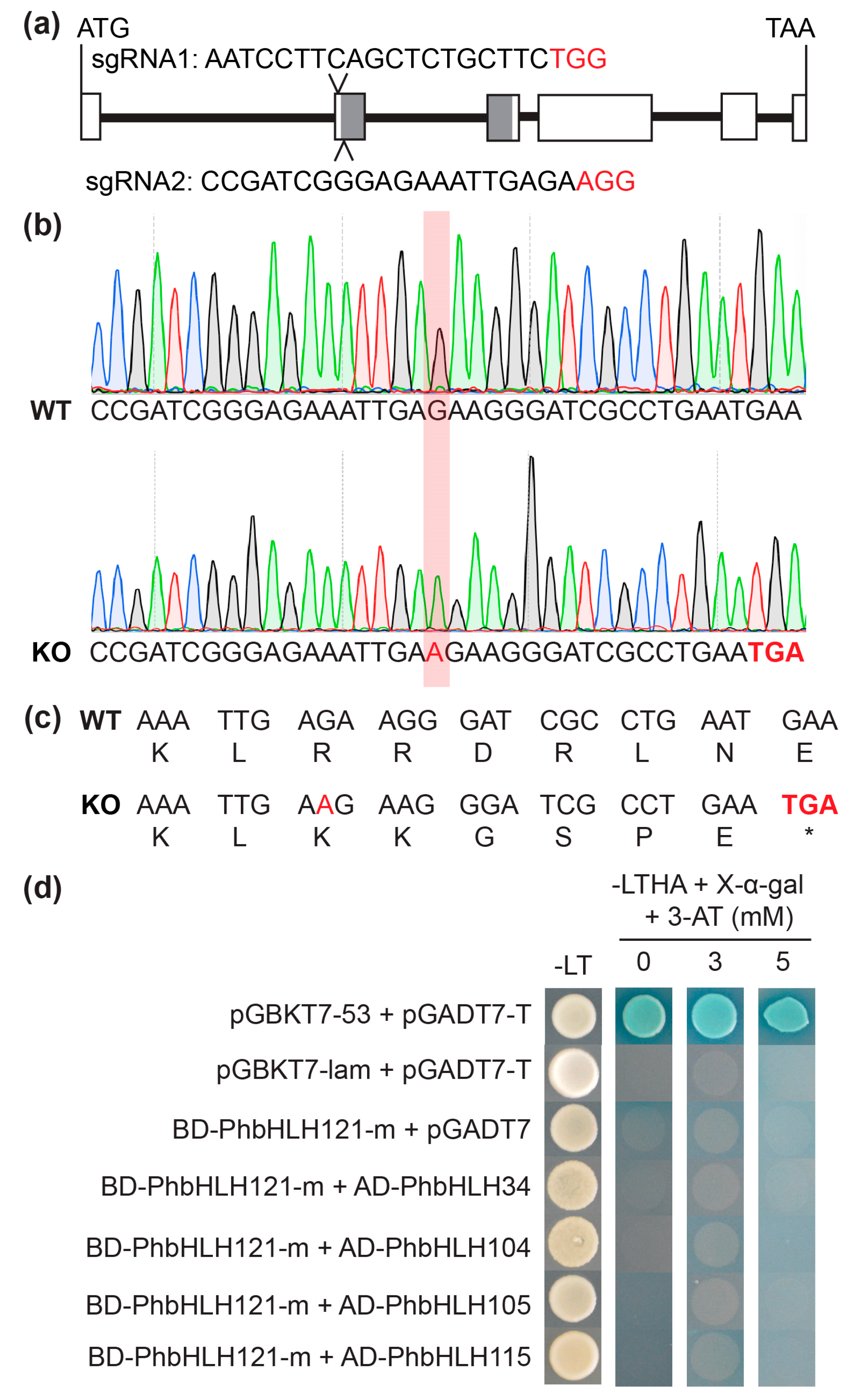 Plants 13 03429 g004