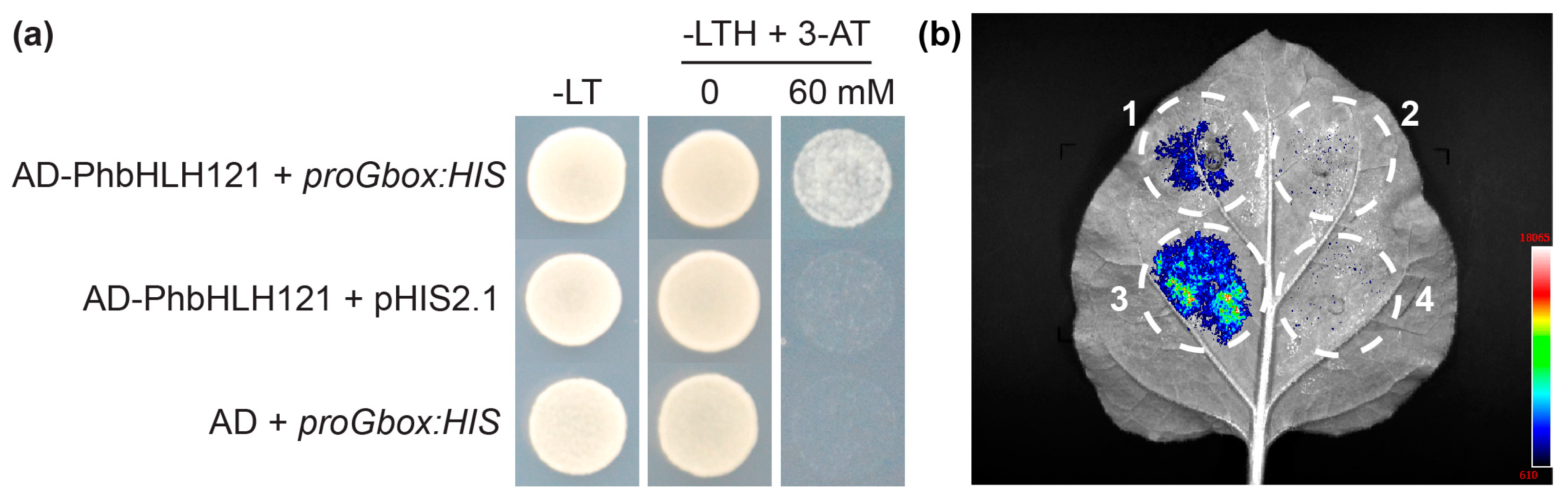 Plants 13 03429 g008