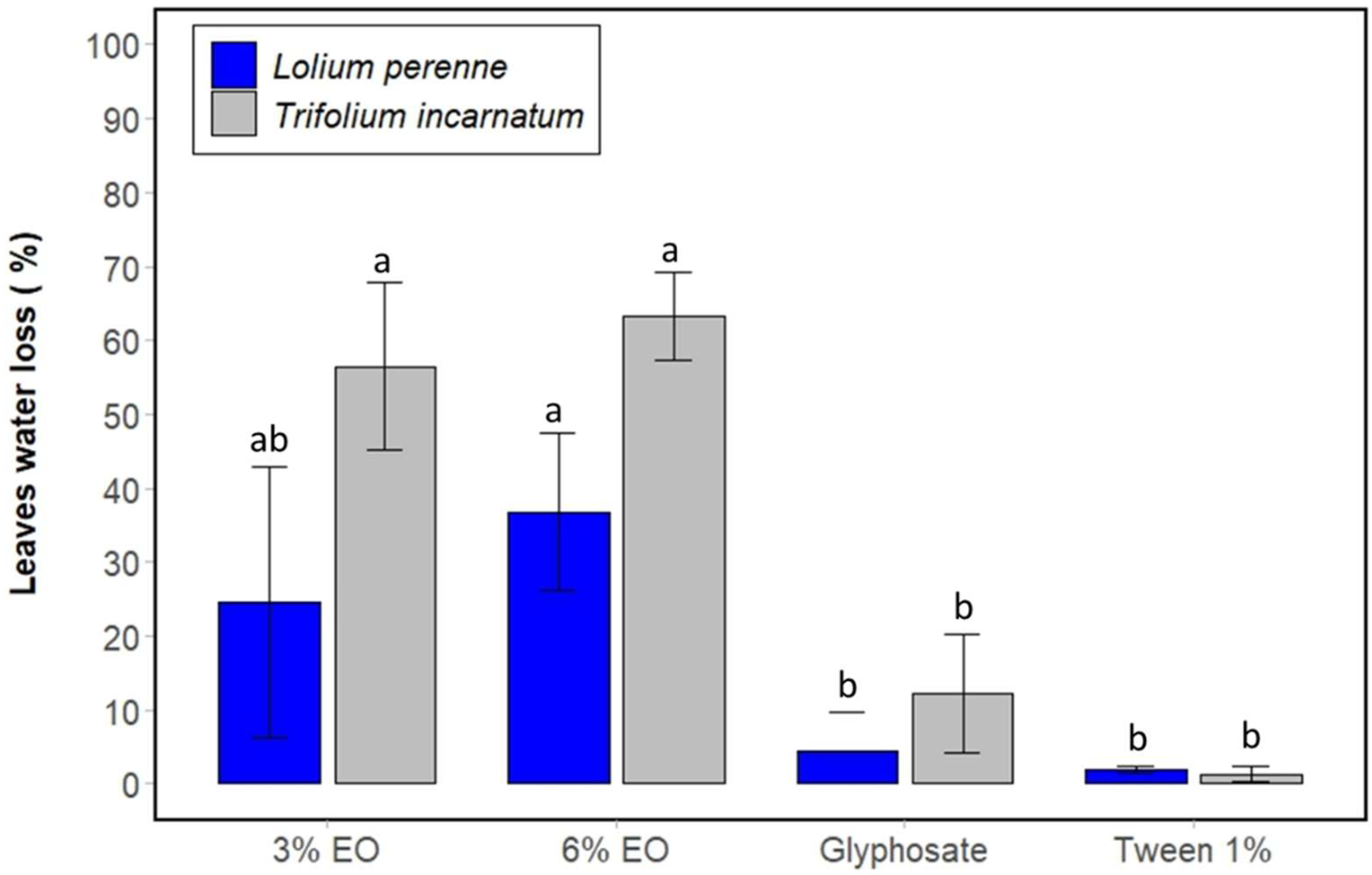 Plants 13 03432 g002