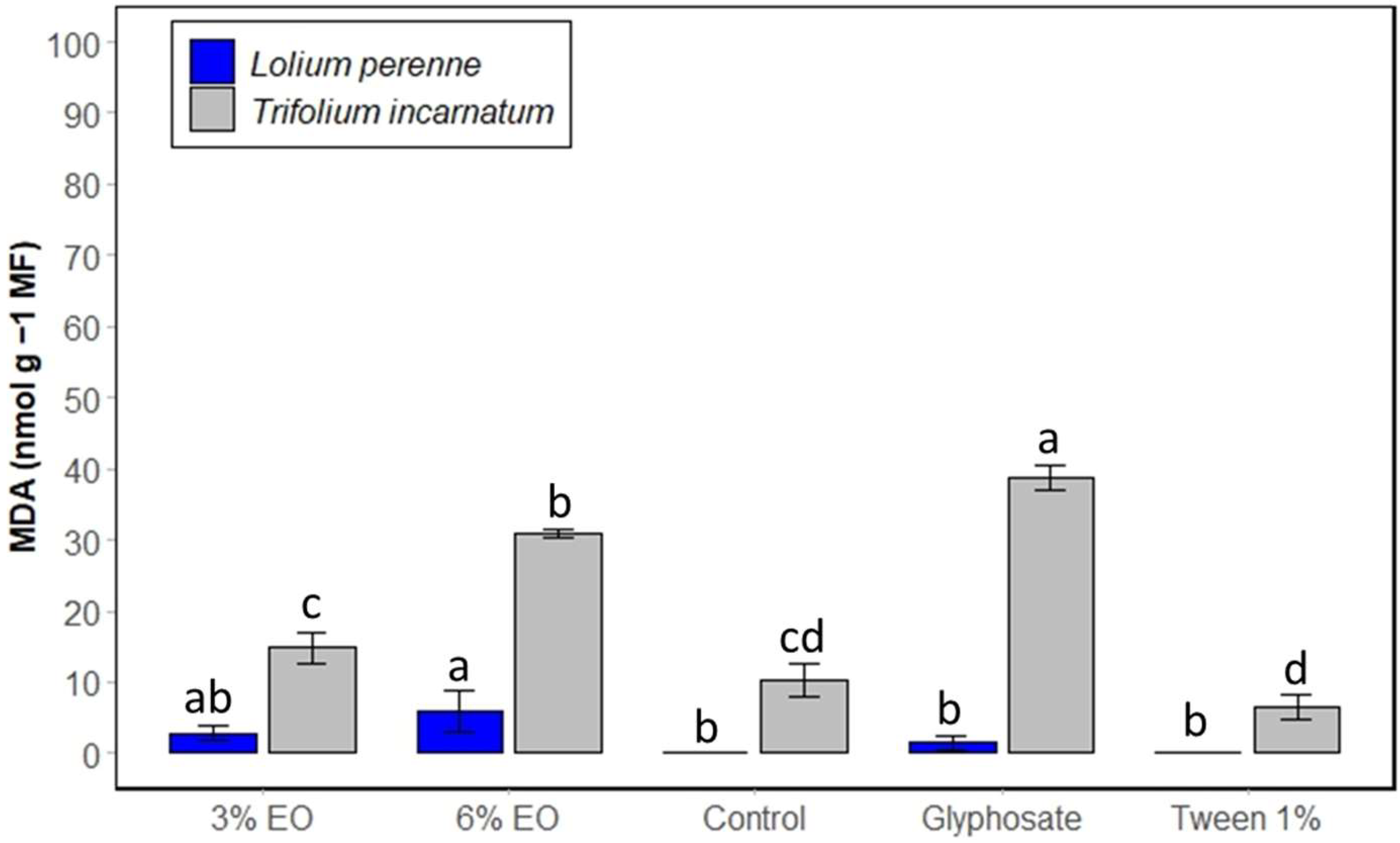 Plants 13 03432 g005