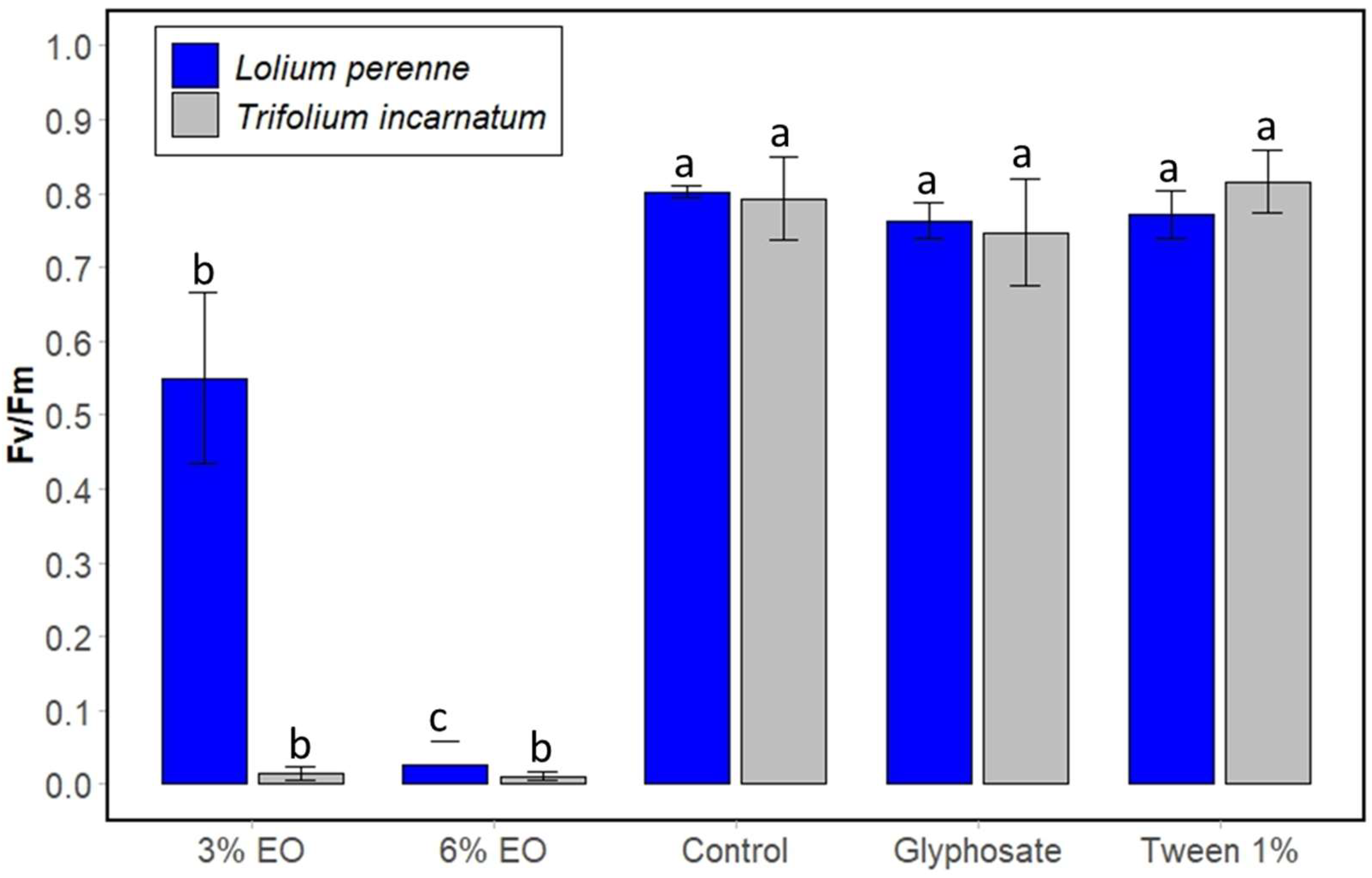 Plants 13 03432 g006