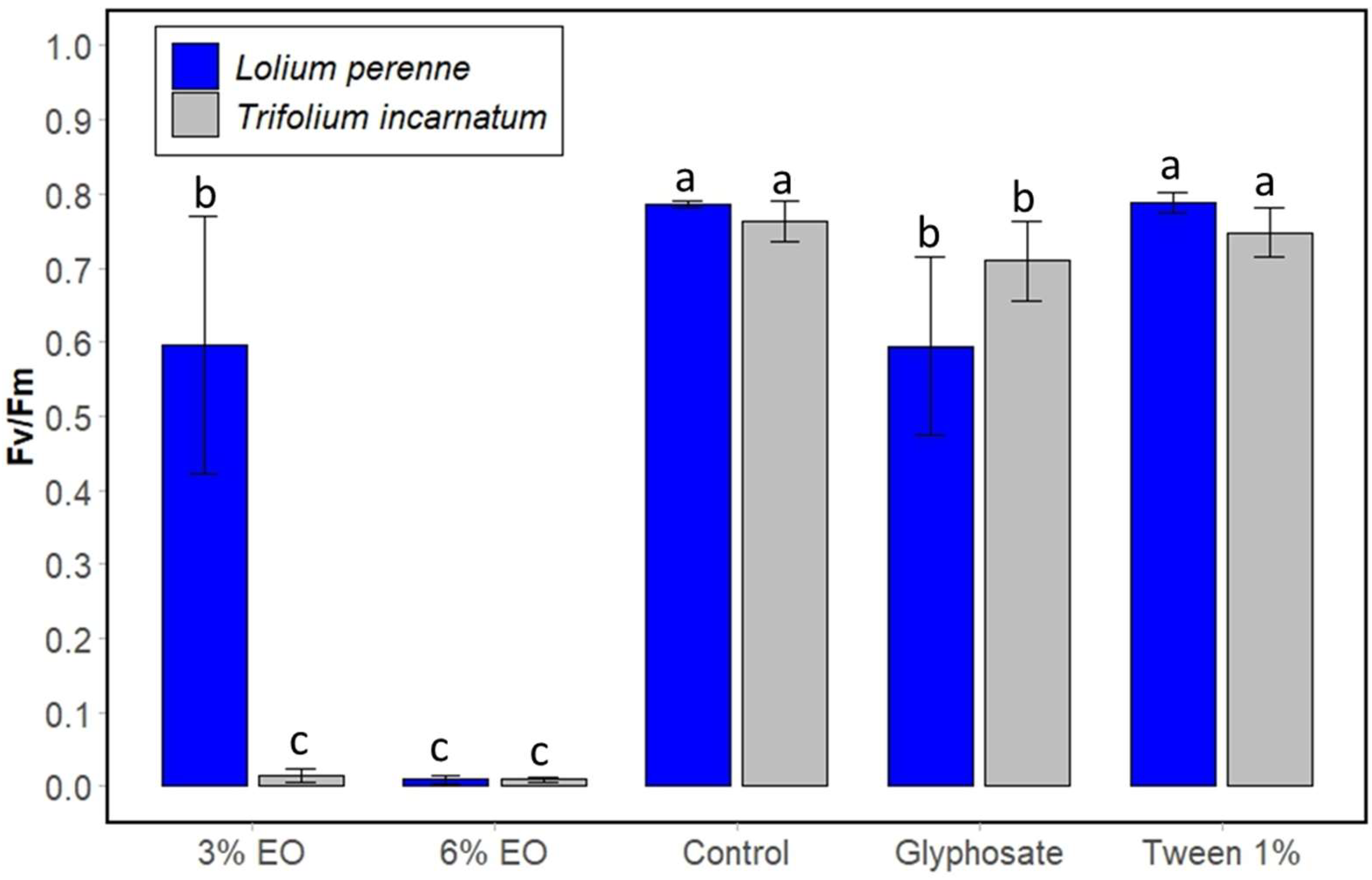 Plants 13 03432 g007