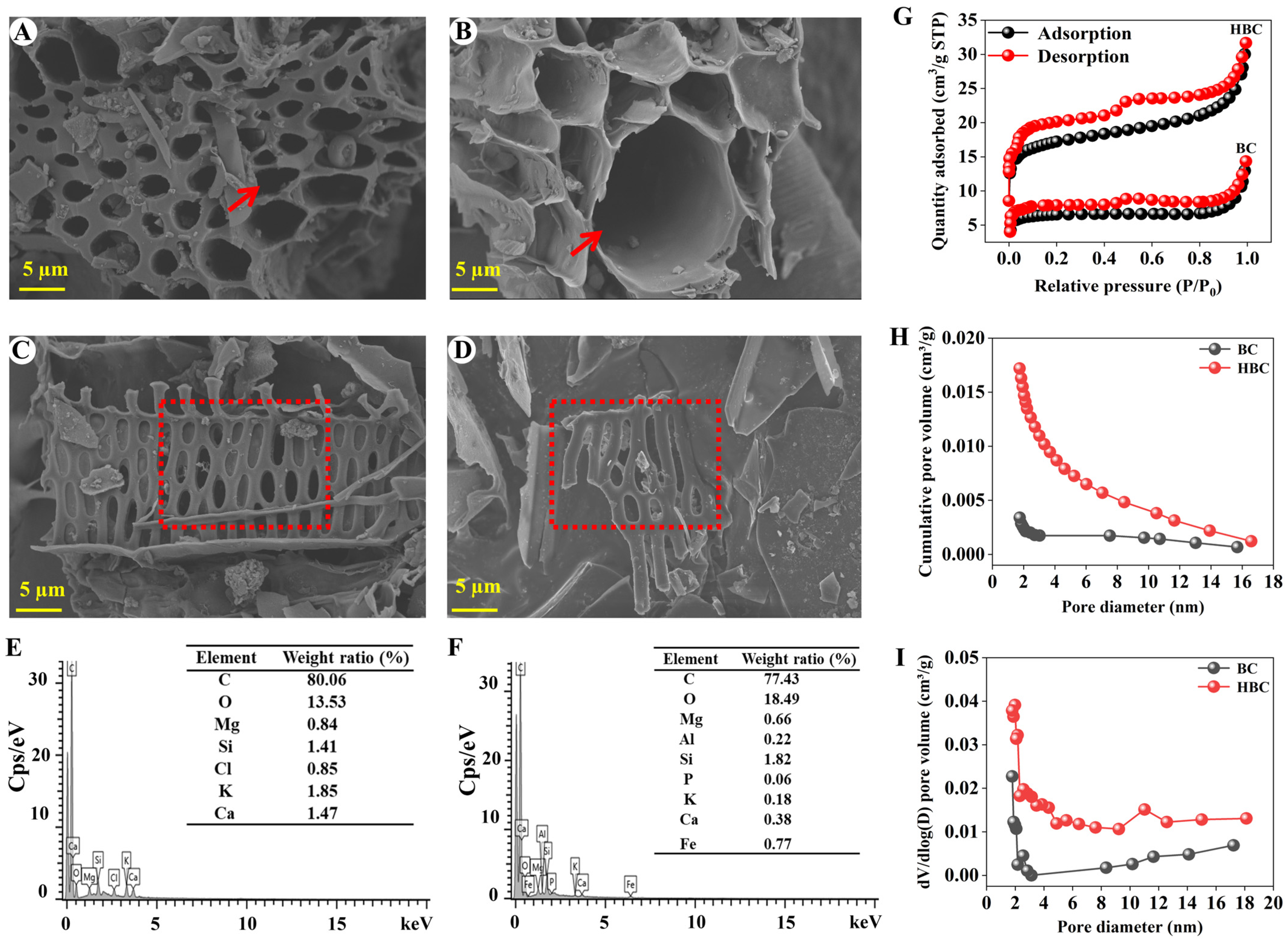 Plants 13 03434 g001