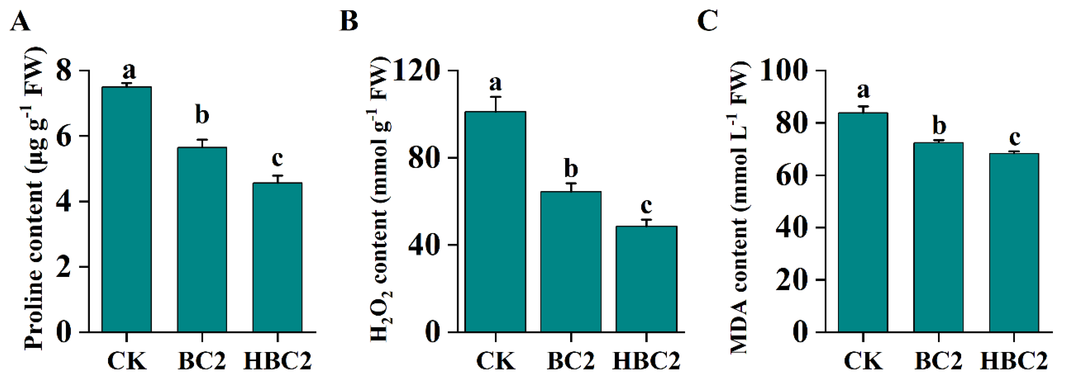 Plants 13 03434 g007
