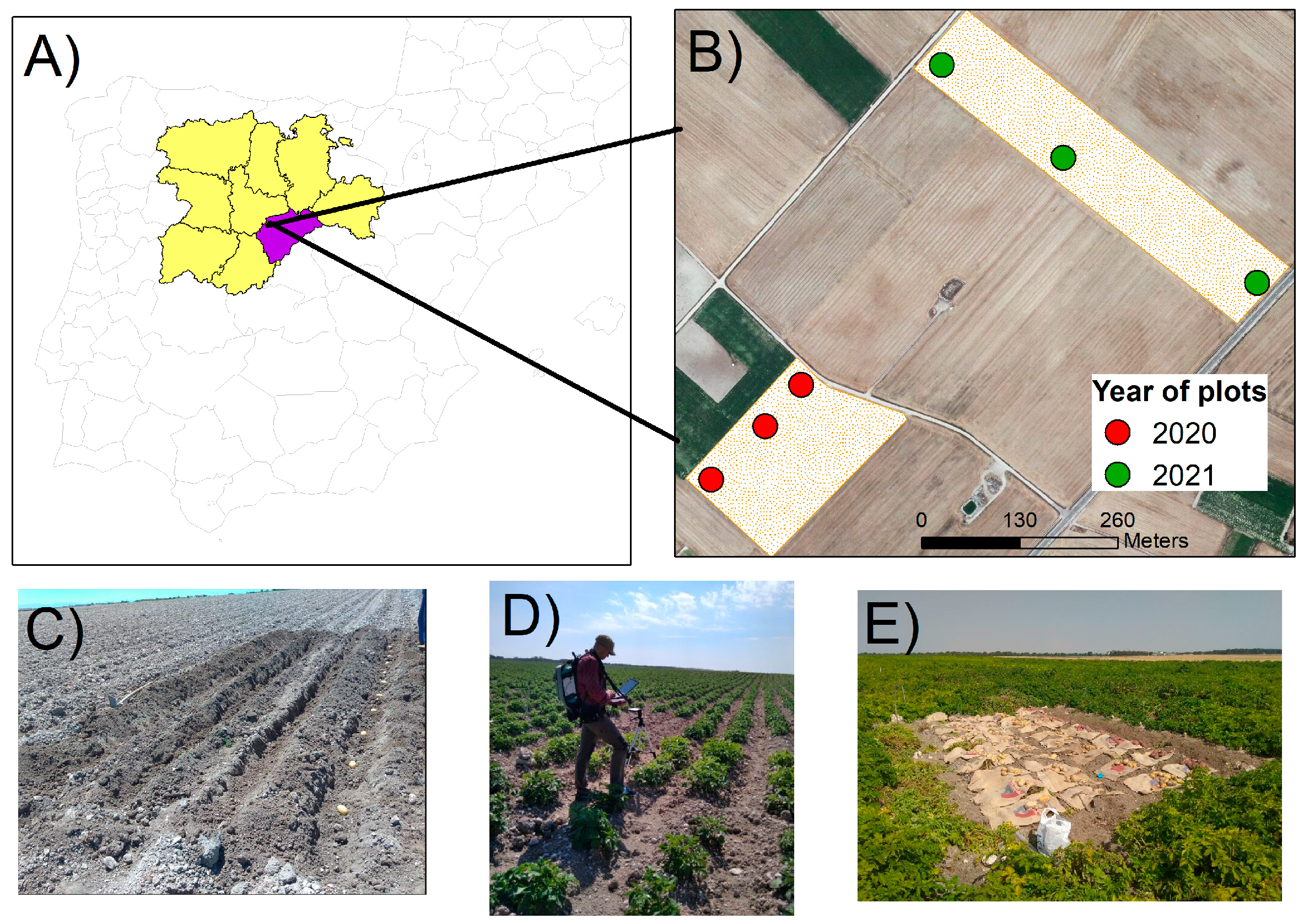 Plants 13 03436 g002