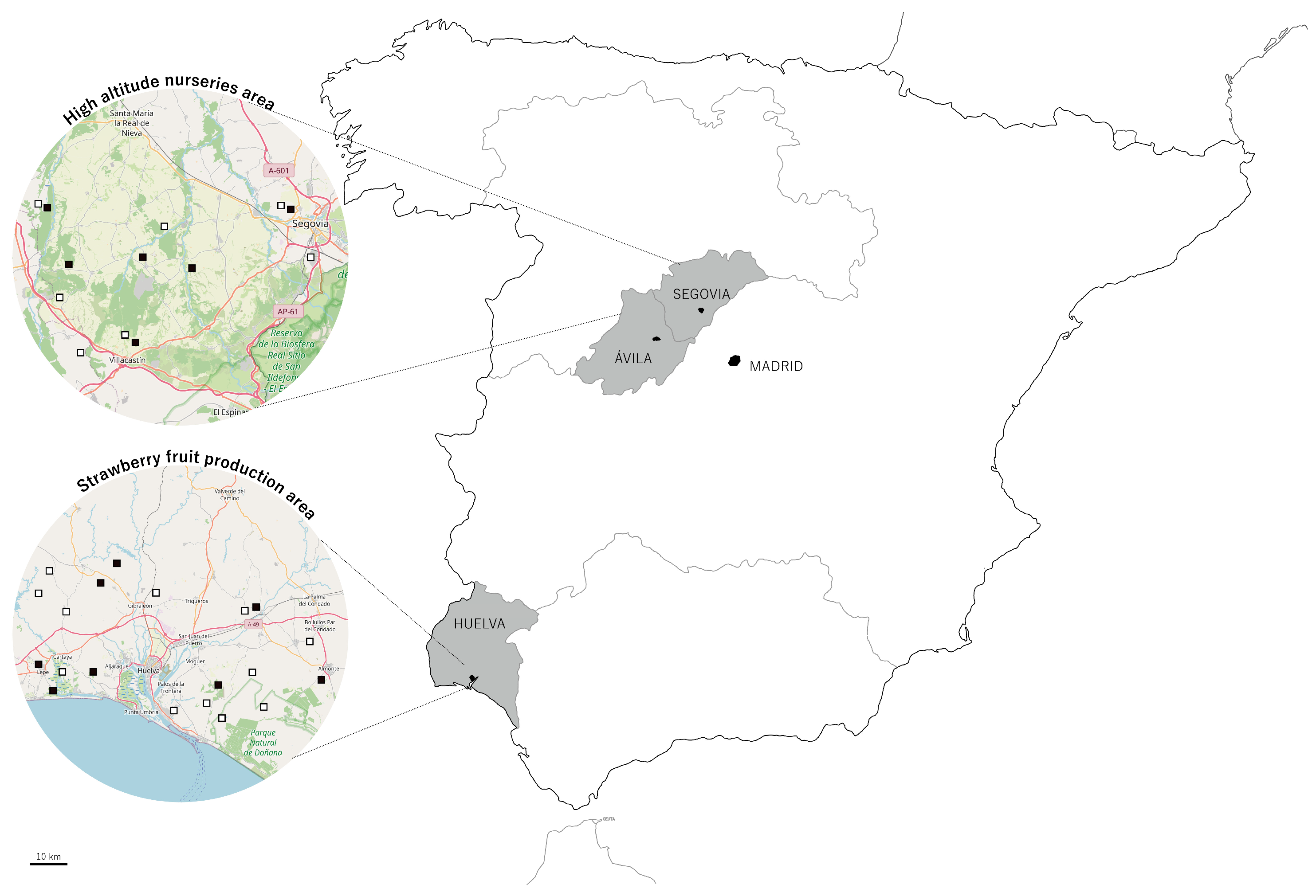 Plants 13 03441 g001