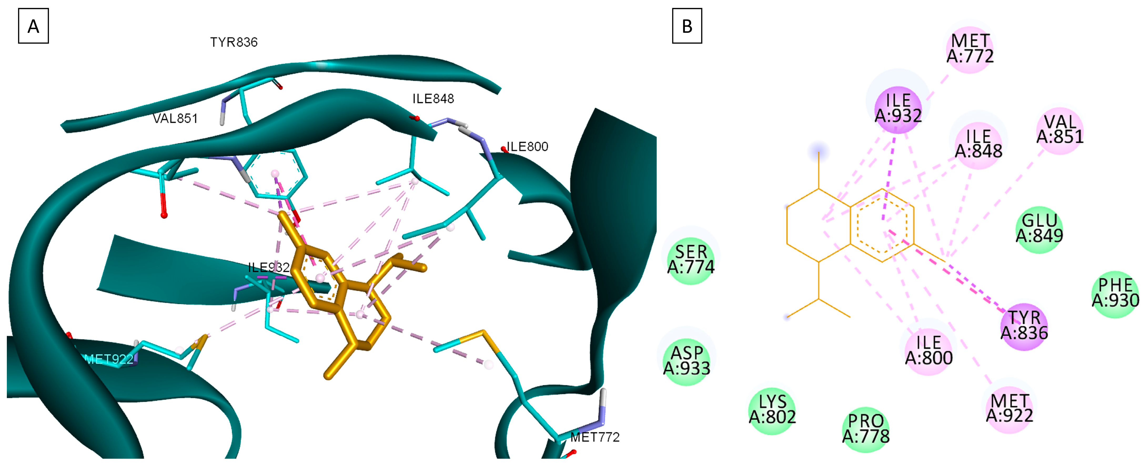 Plants 13 03443 g007