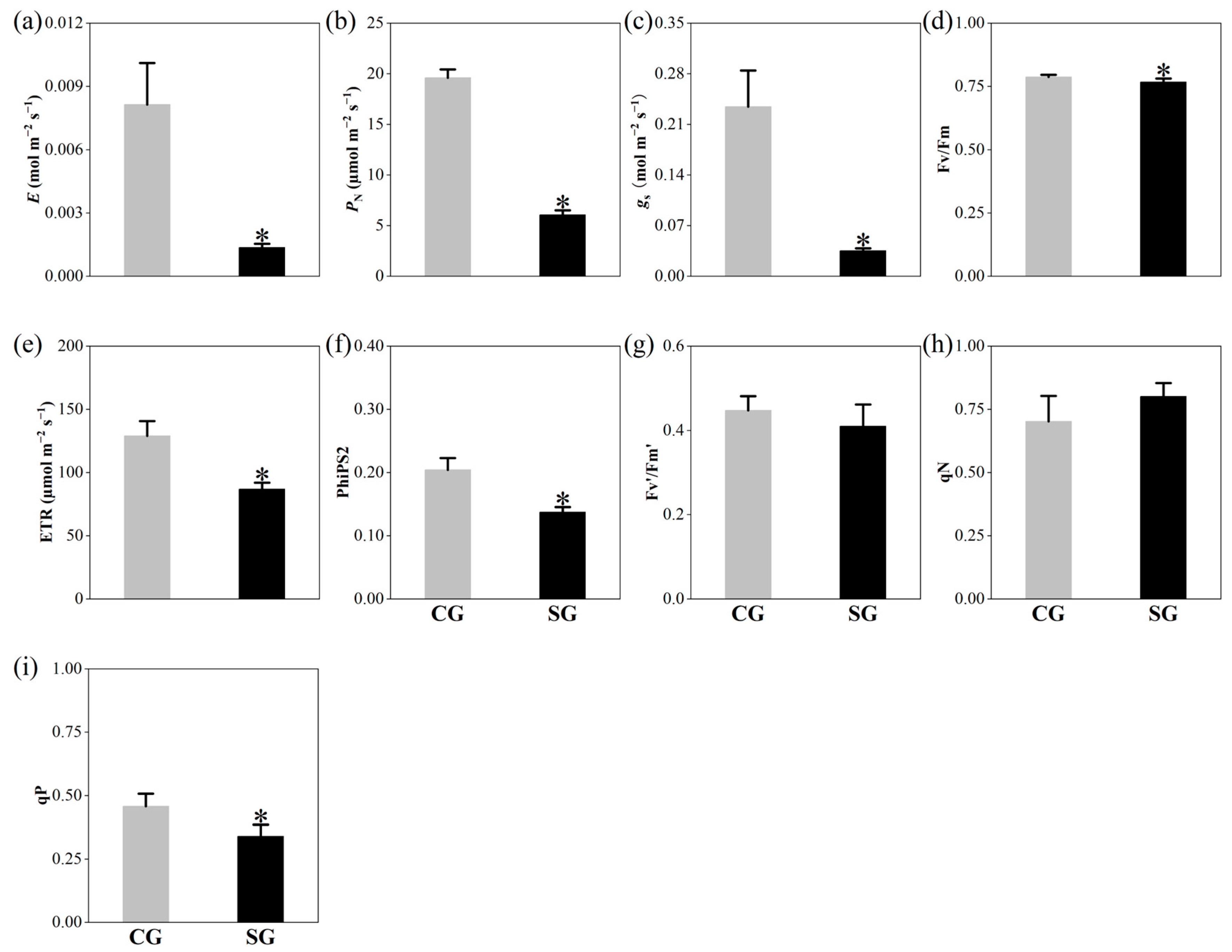 Plants 13 03445 g001