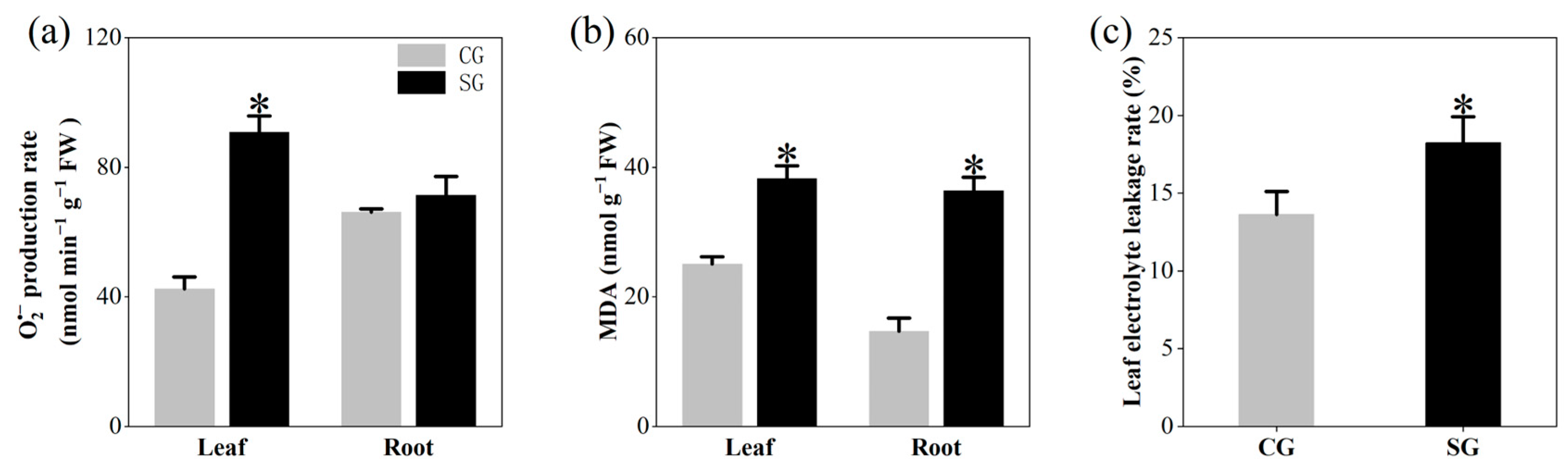 Plants 13 03445 g002