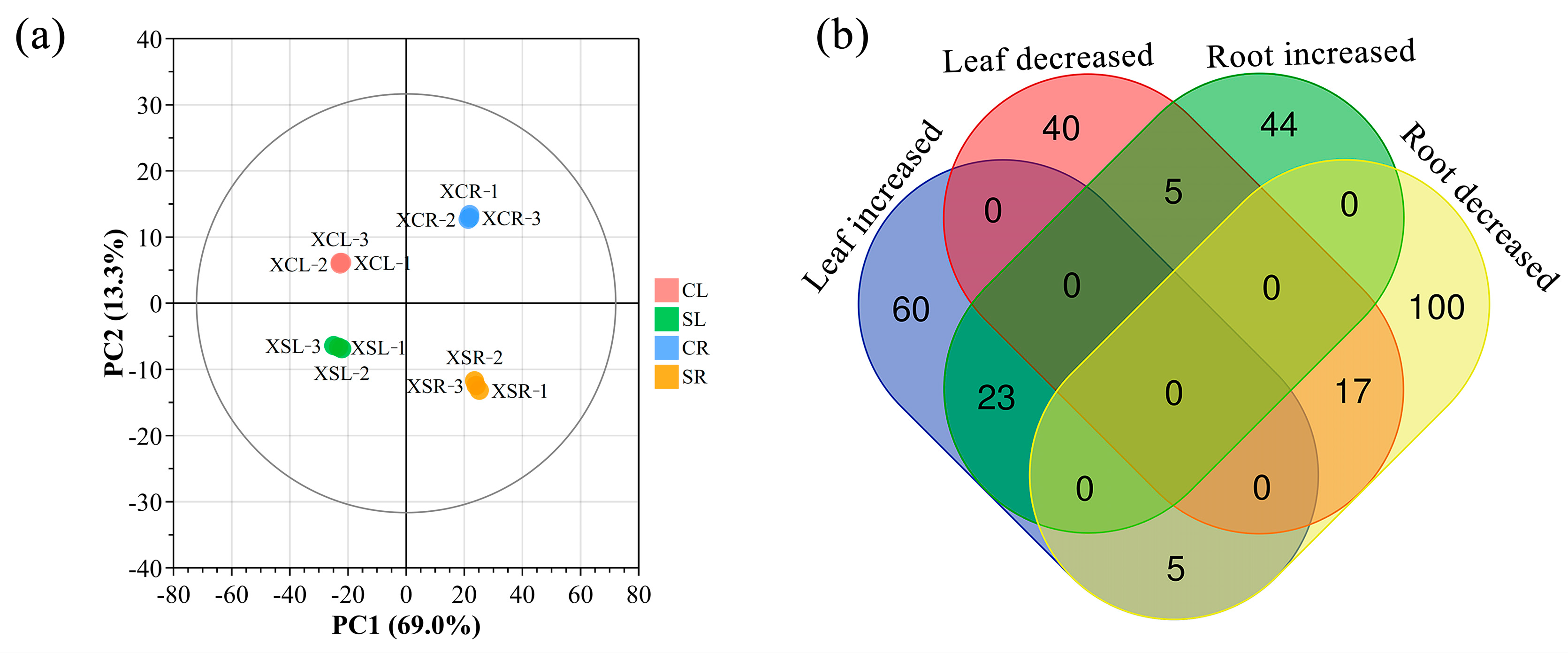 Plants 13 03445 g003