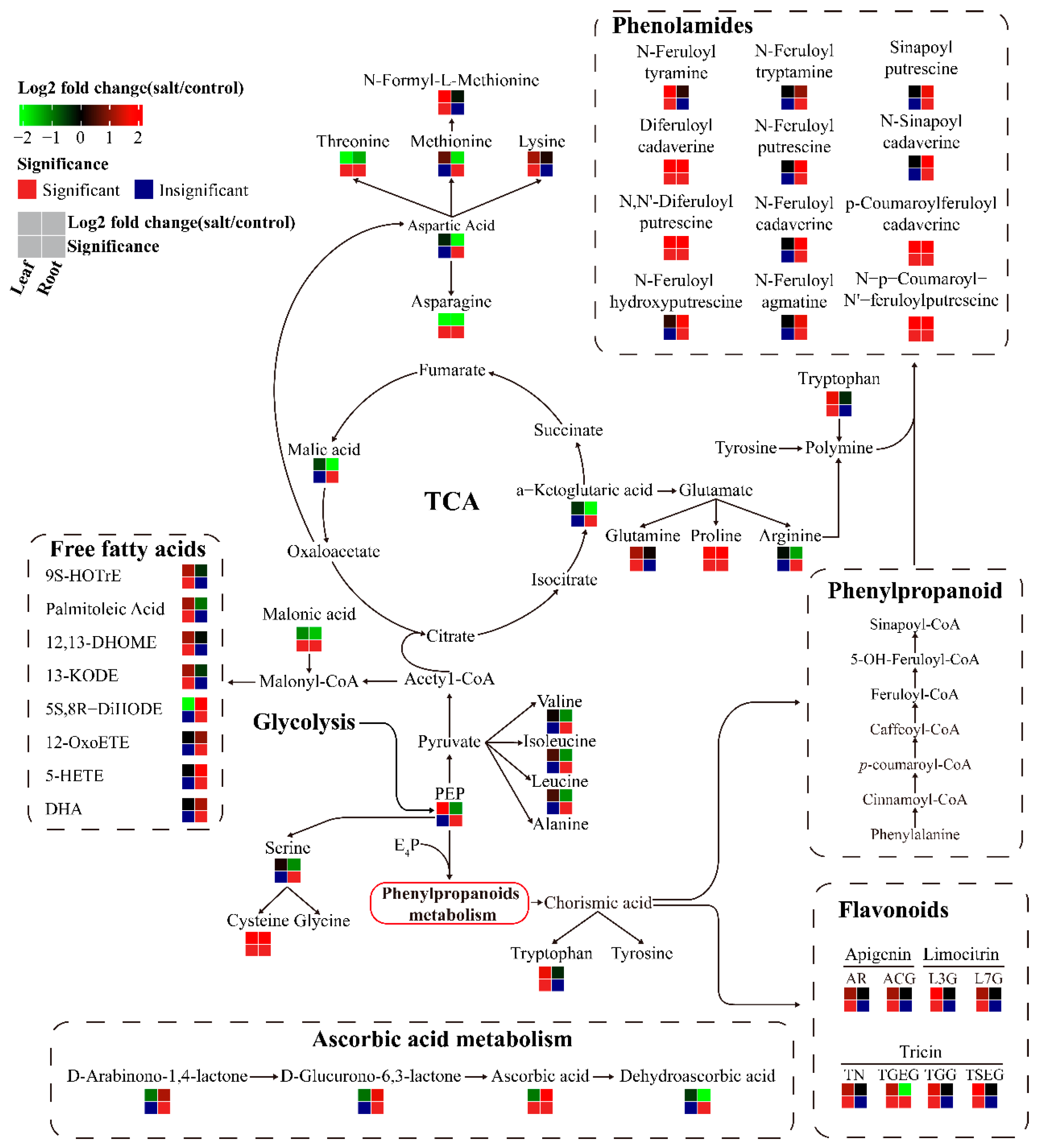 Plants 13 03445 g004
