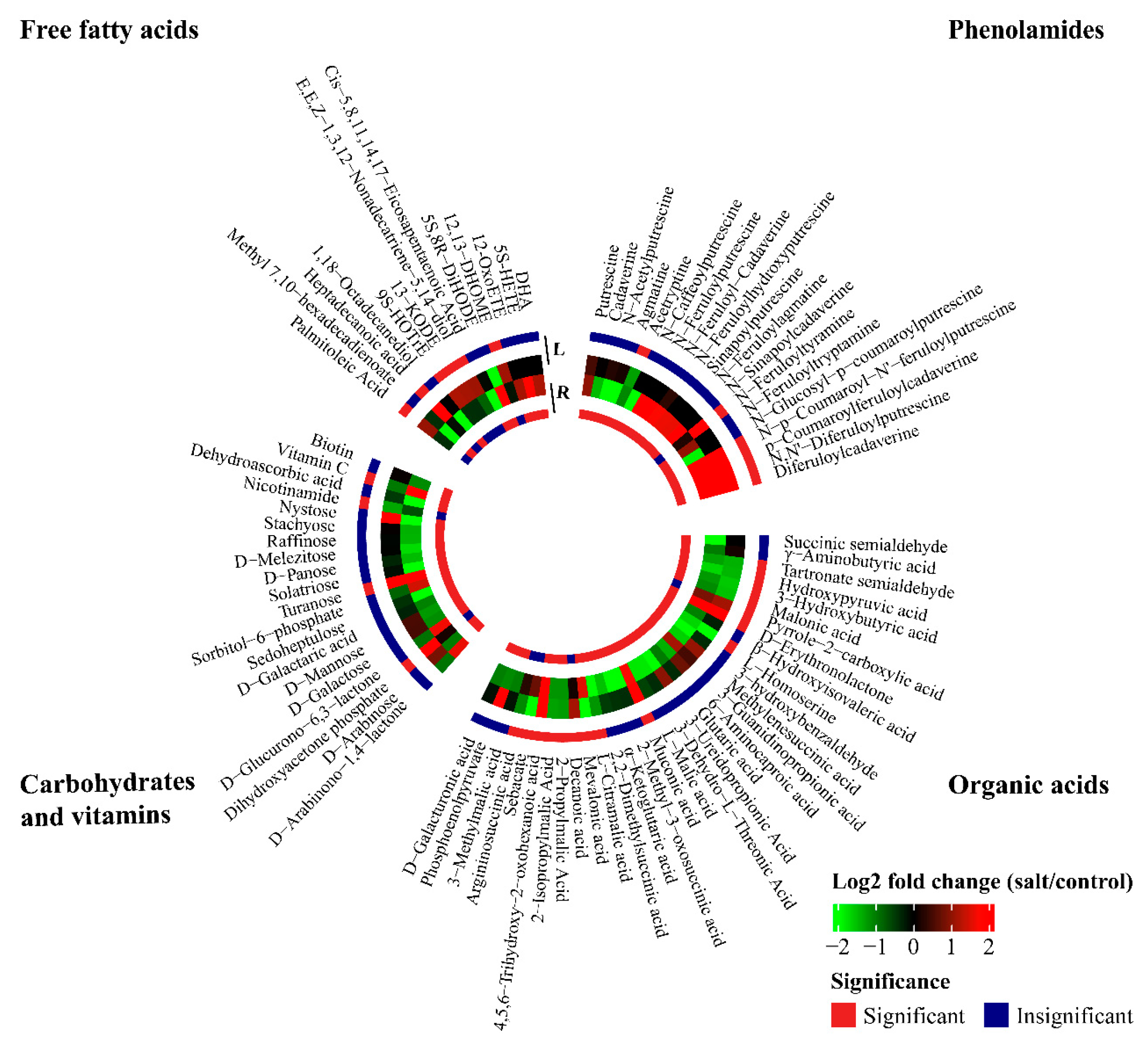 Plants 13 03445 g006