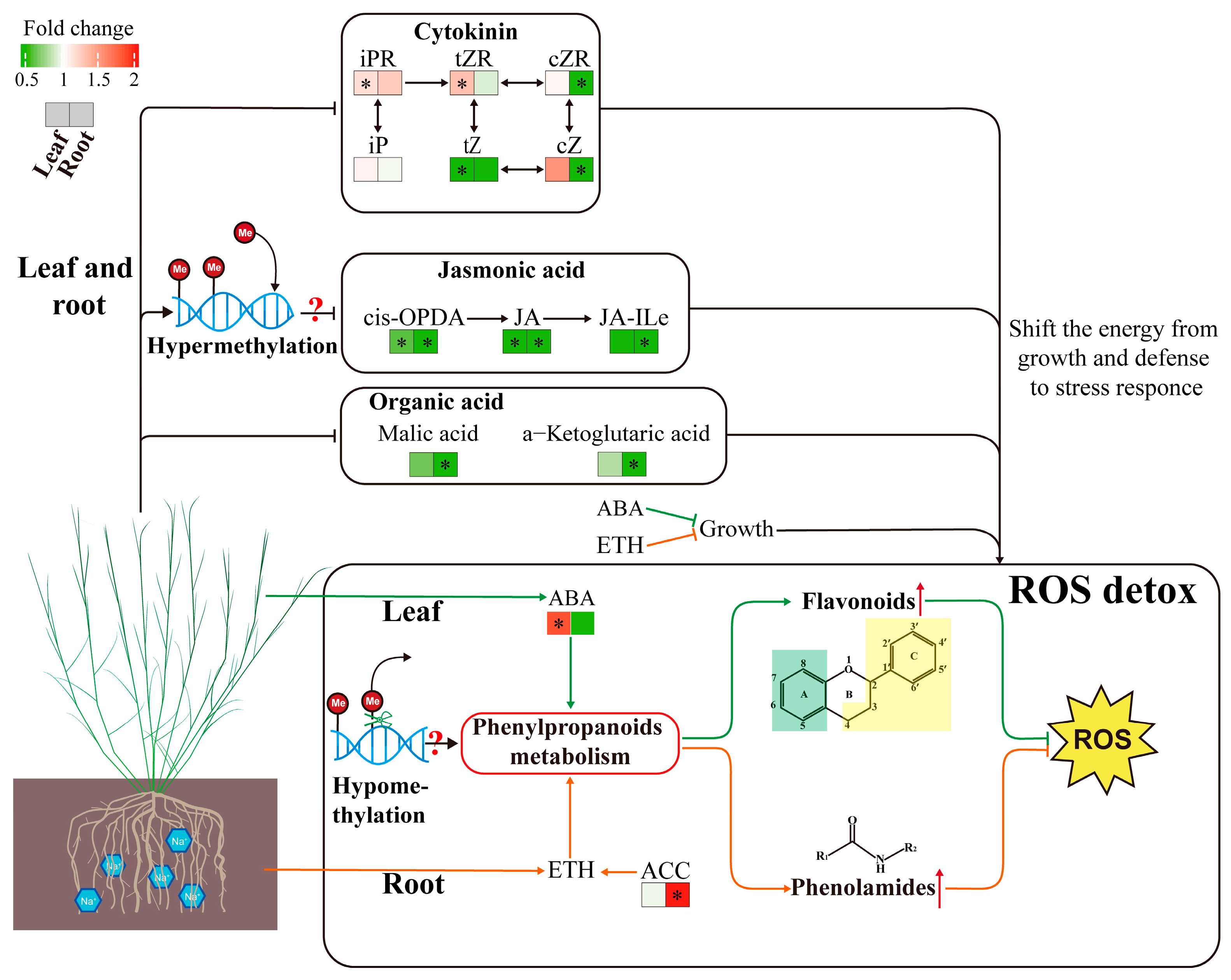 Plants 13 03445 g009