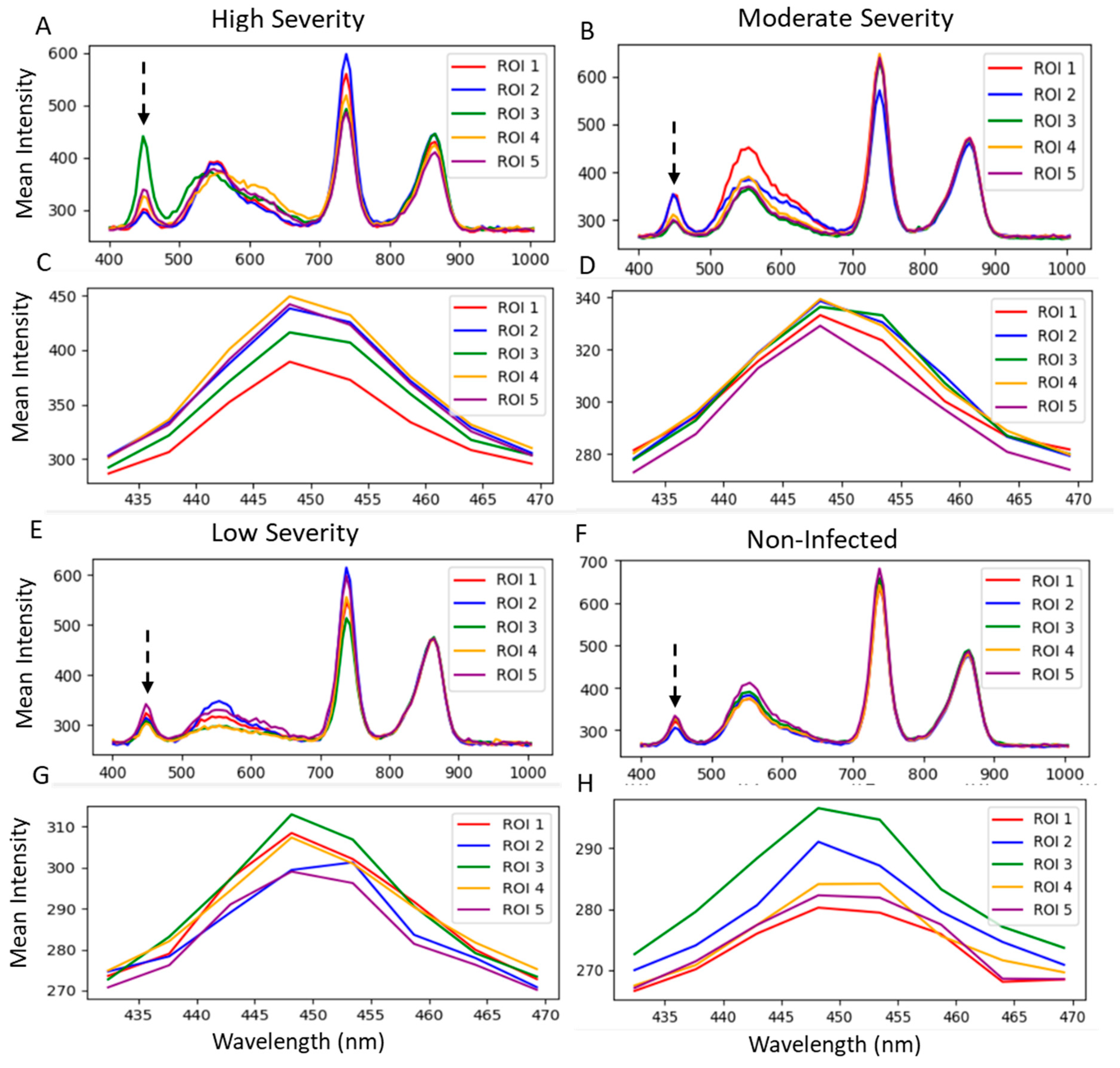 Plants 13 03447 g004