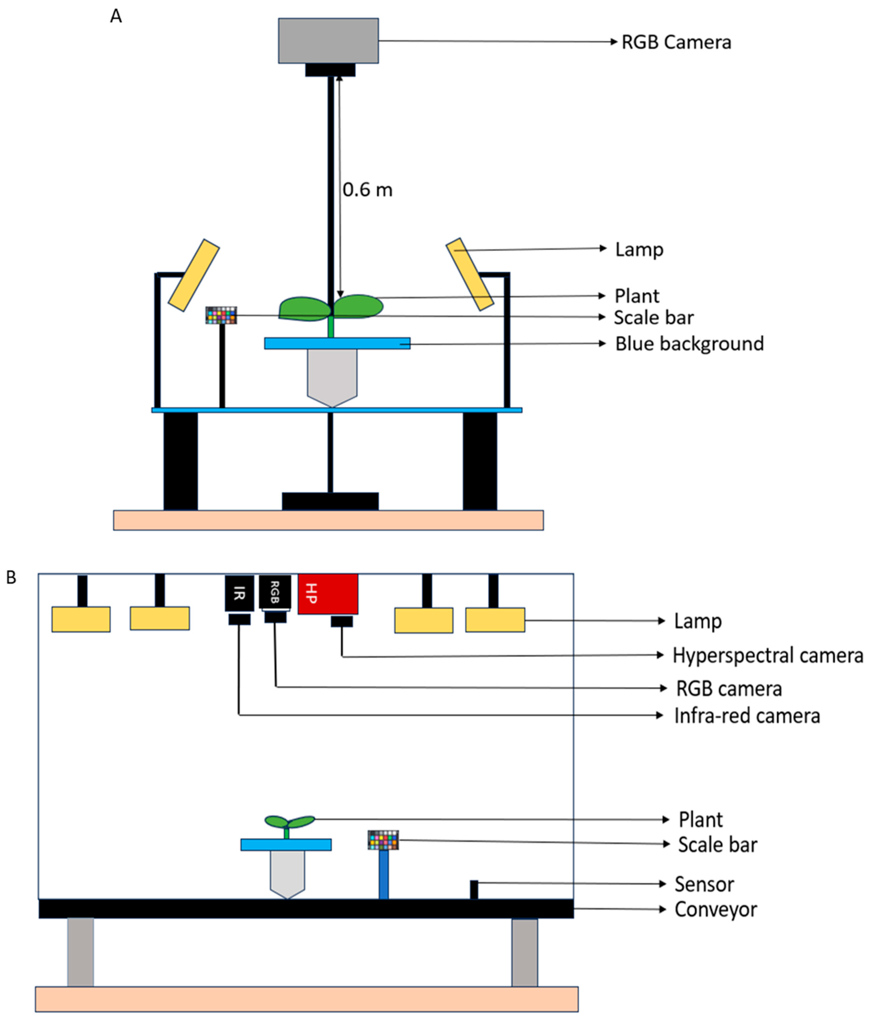 Plants 13 03447 g006