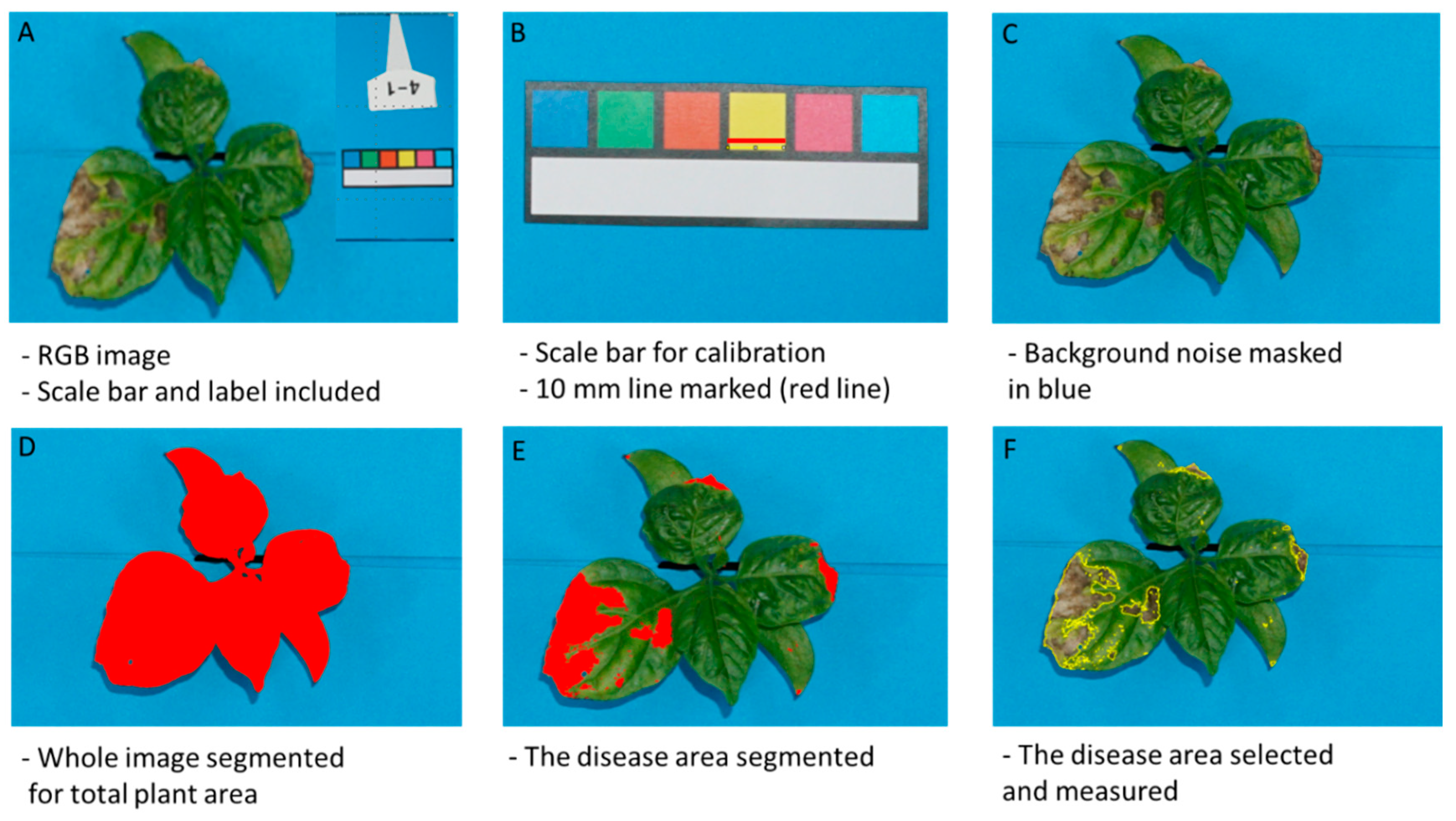 Plants 13 03447 g007