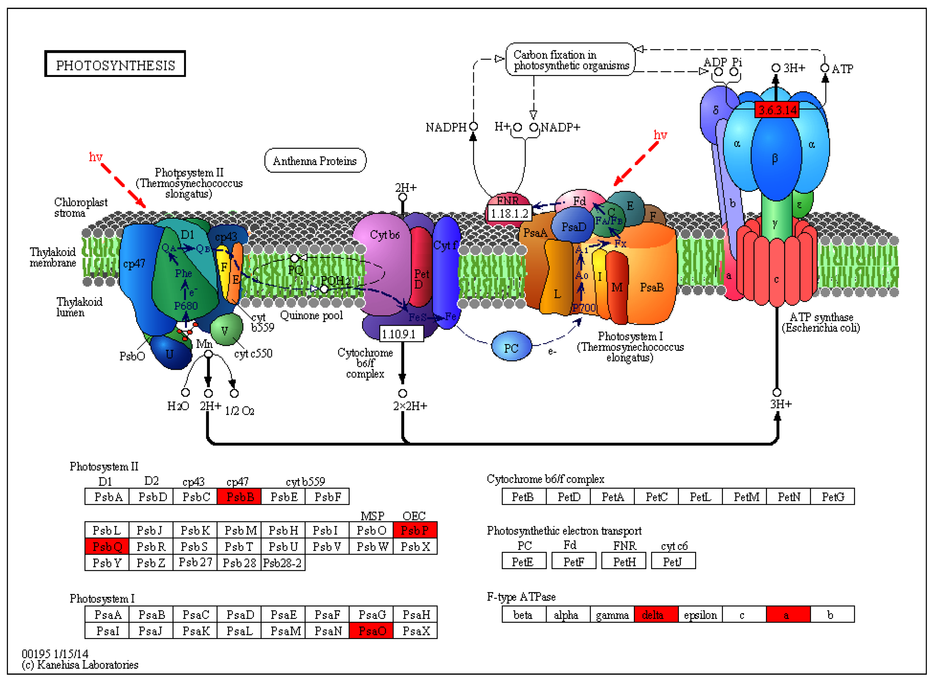 Plants 13 03448 g007