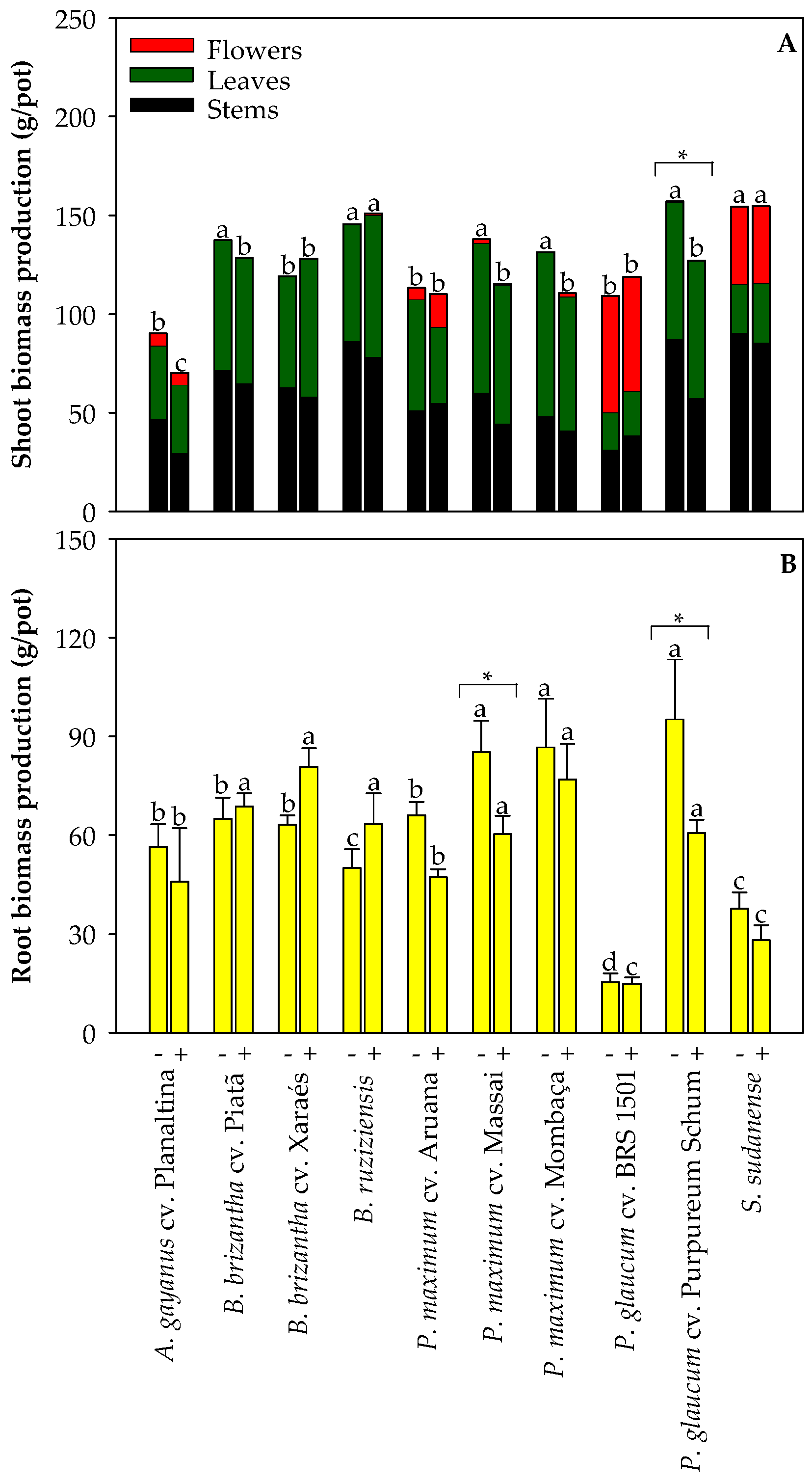 Plants 13 03450 g001