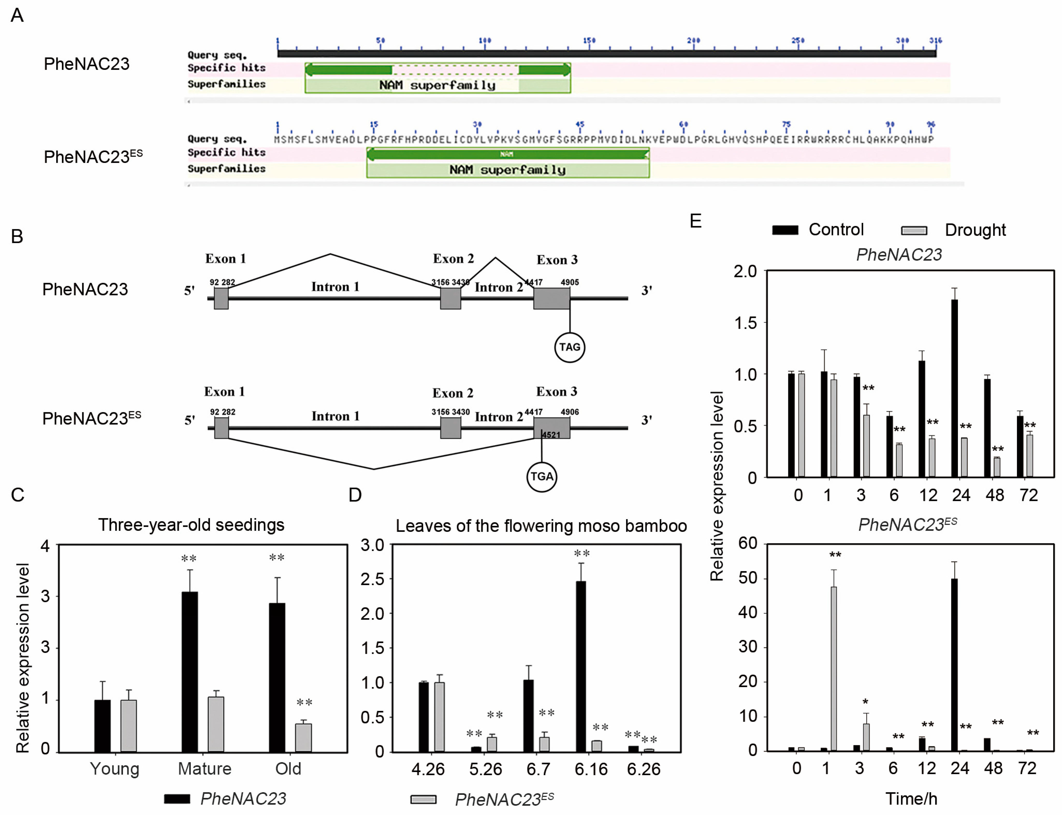 Plants 13 03452 g002