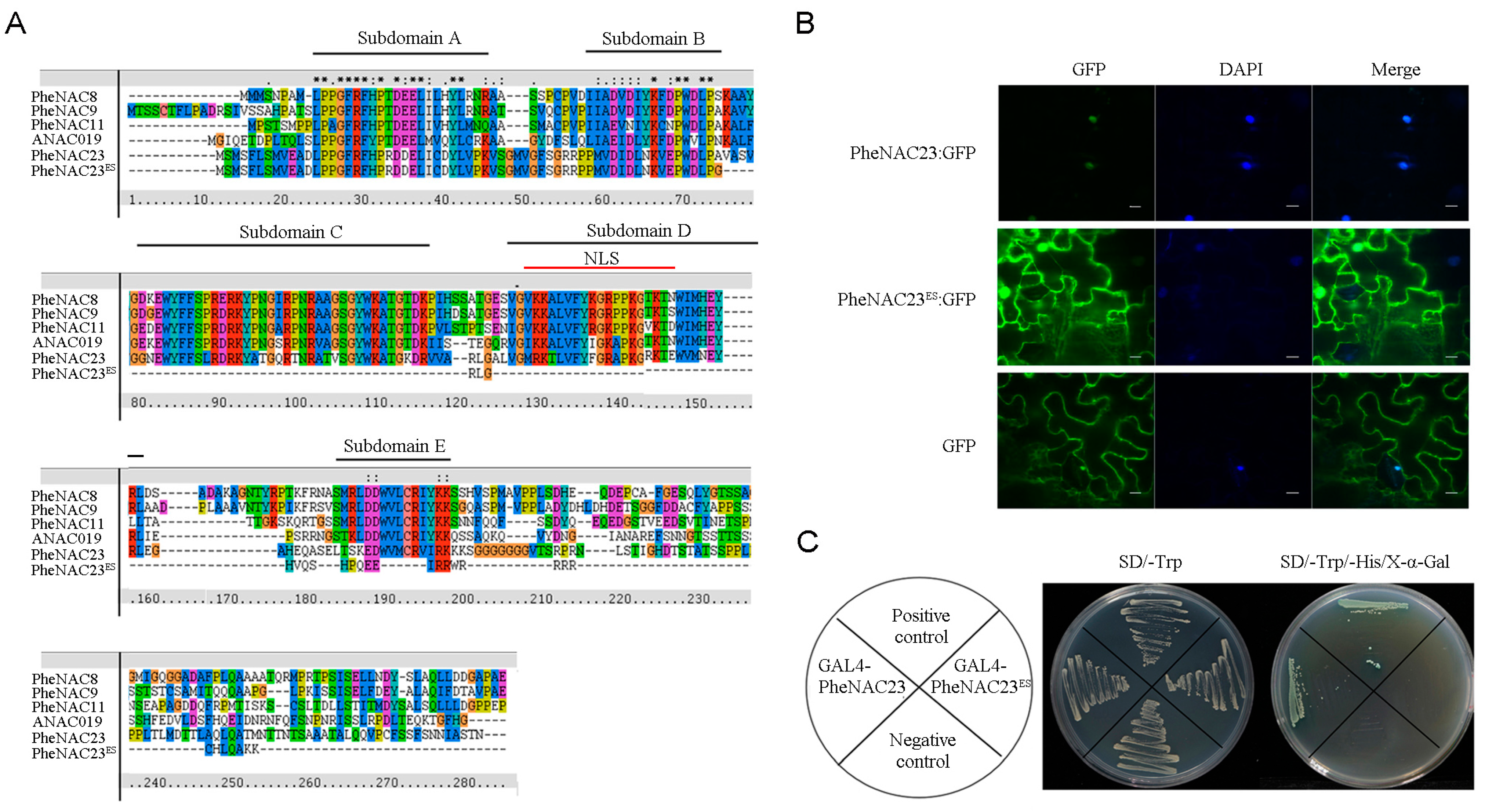 Plants 13 03452 g003