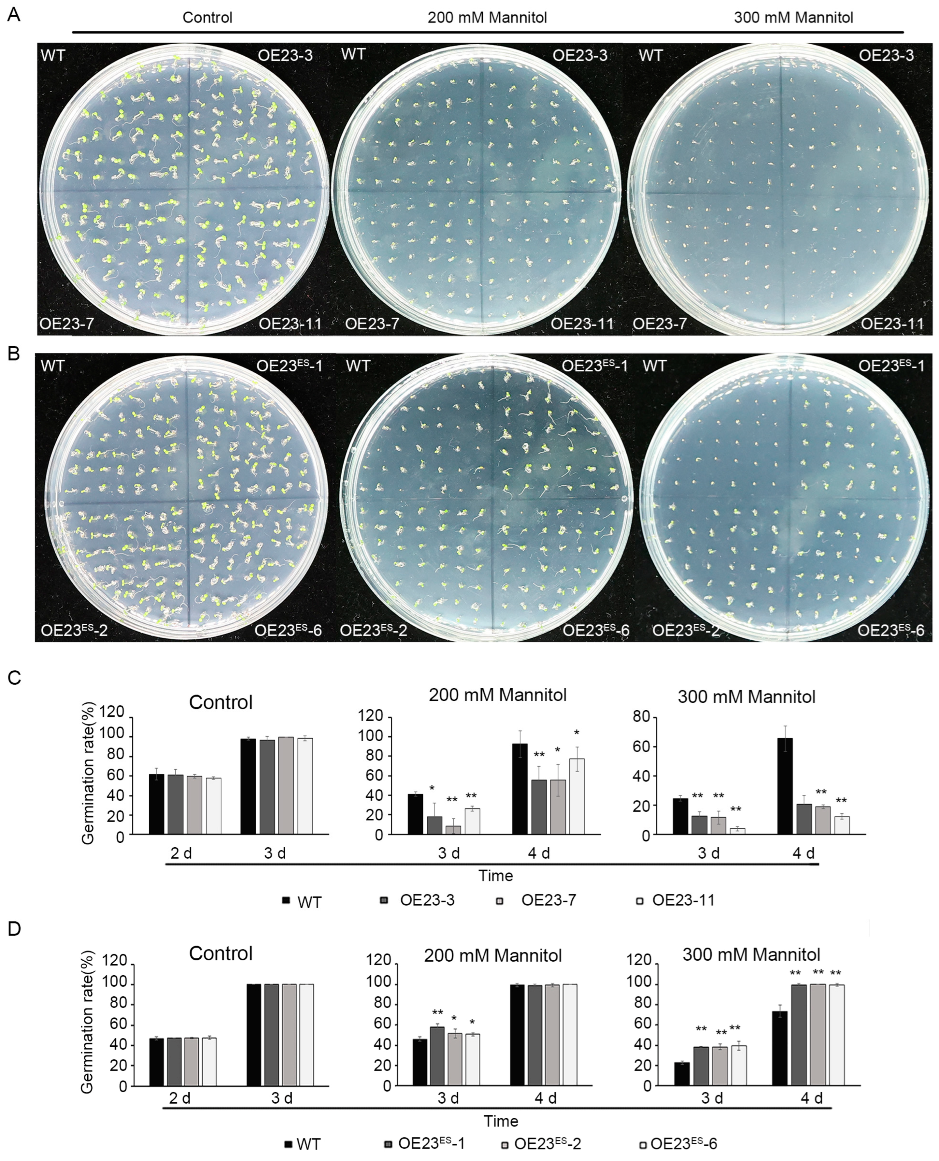 Plants 13 03452 g006