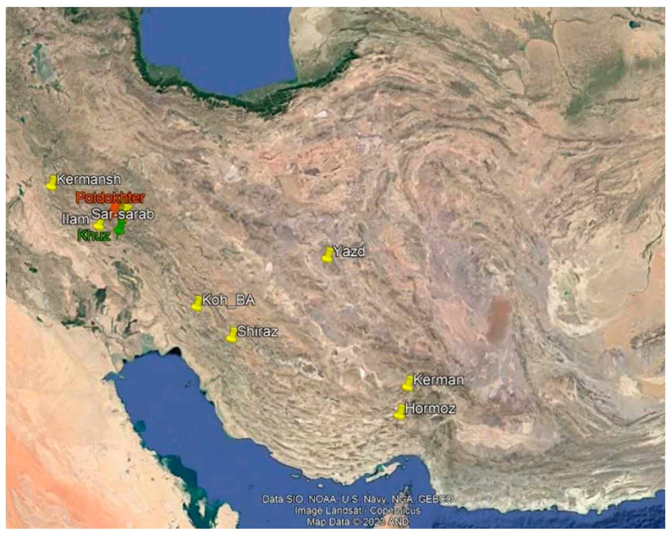 Plants 13 03458 g004