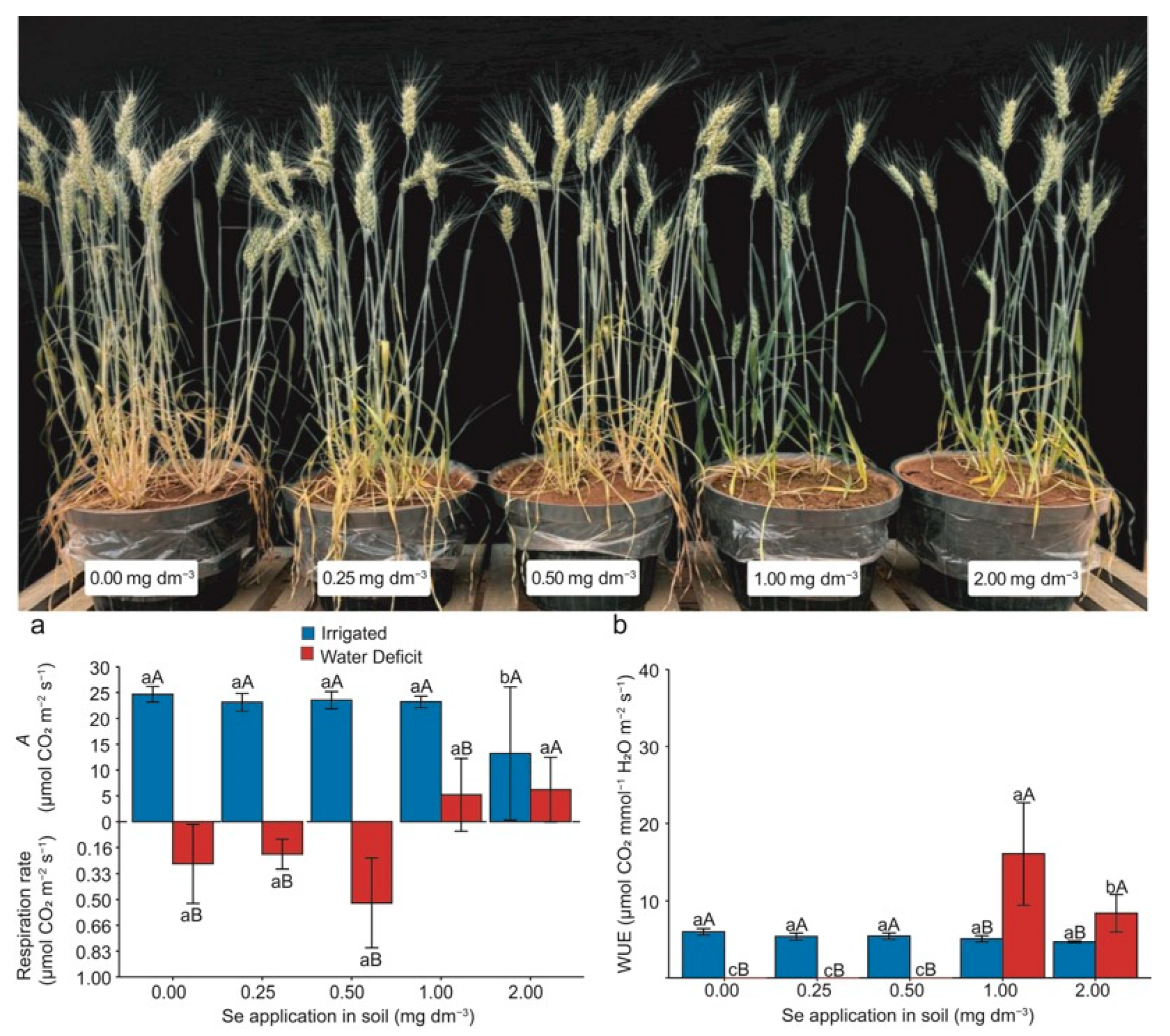 Plants 13 03460 g002