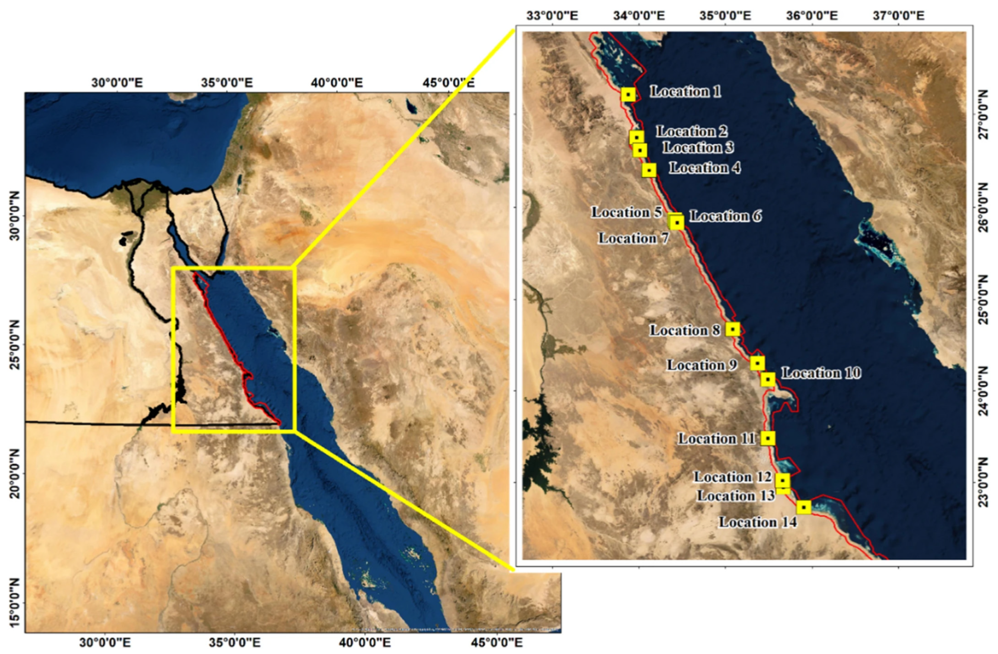 Plants 13 03471 g001