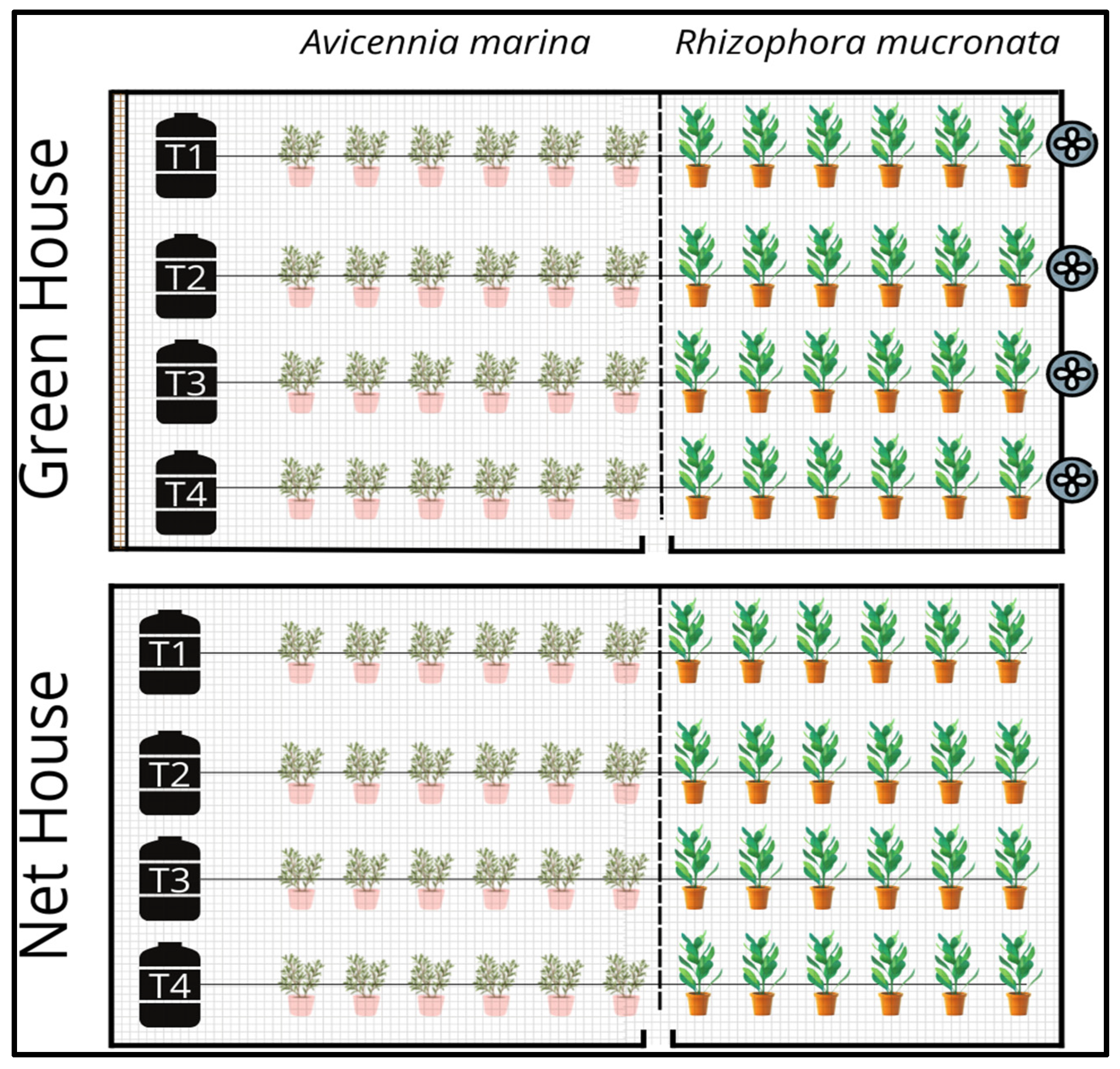 Plants 13 03471 g008