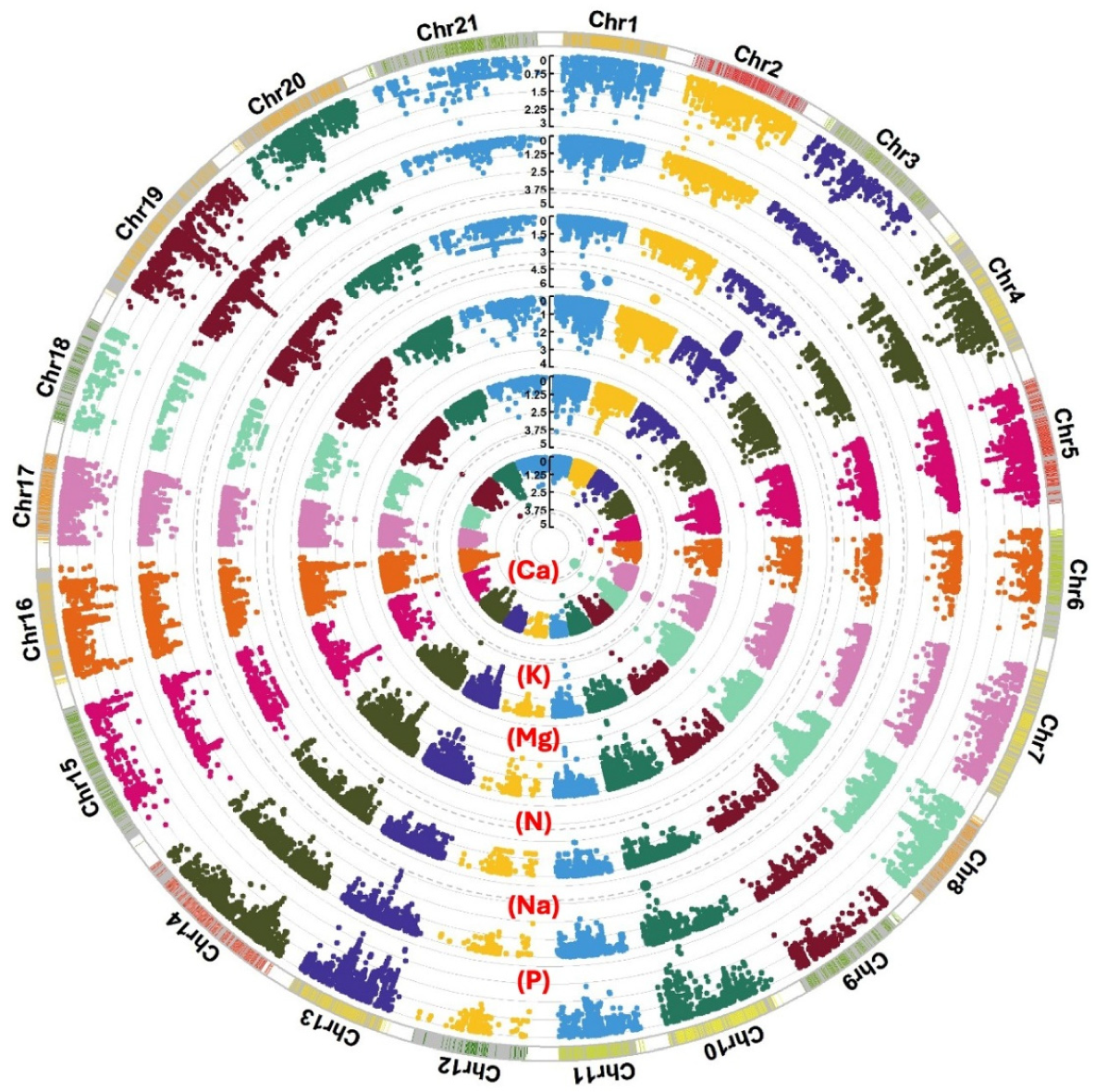 Plants 13 03472 g002