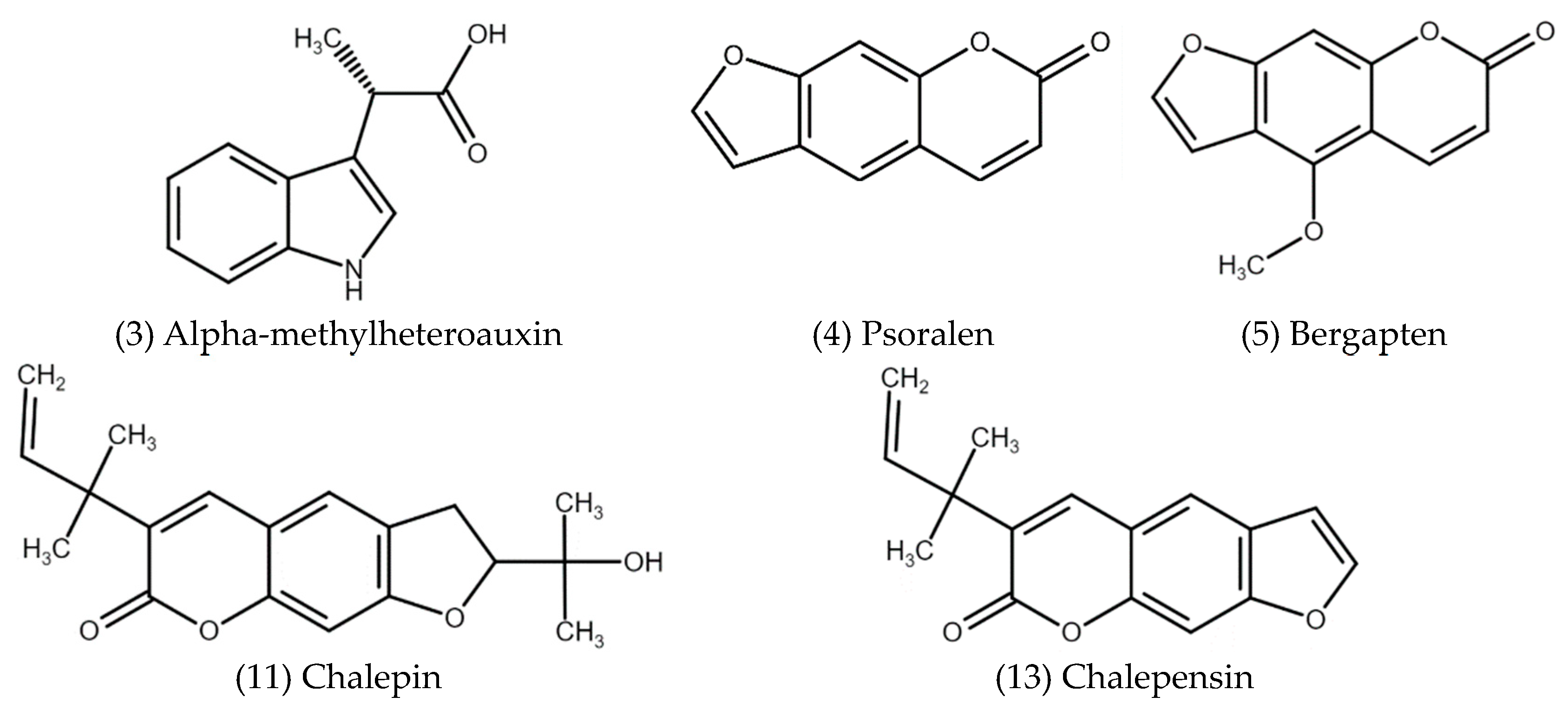 Plants 13 03484 g002