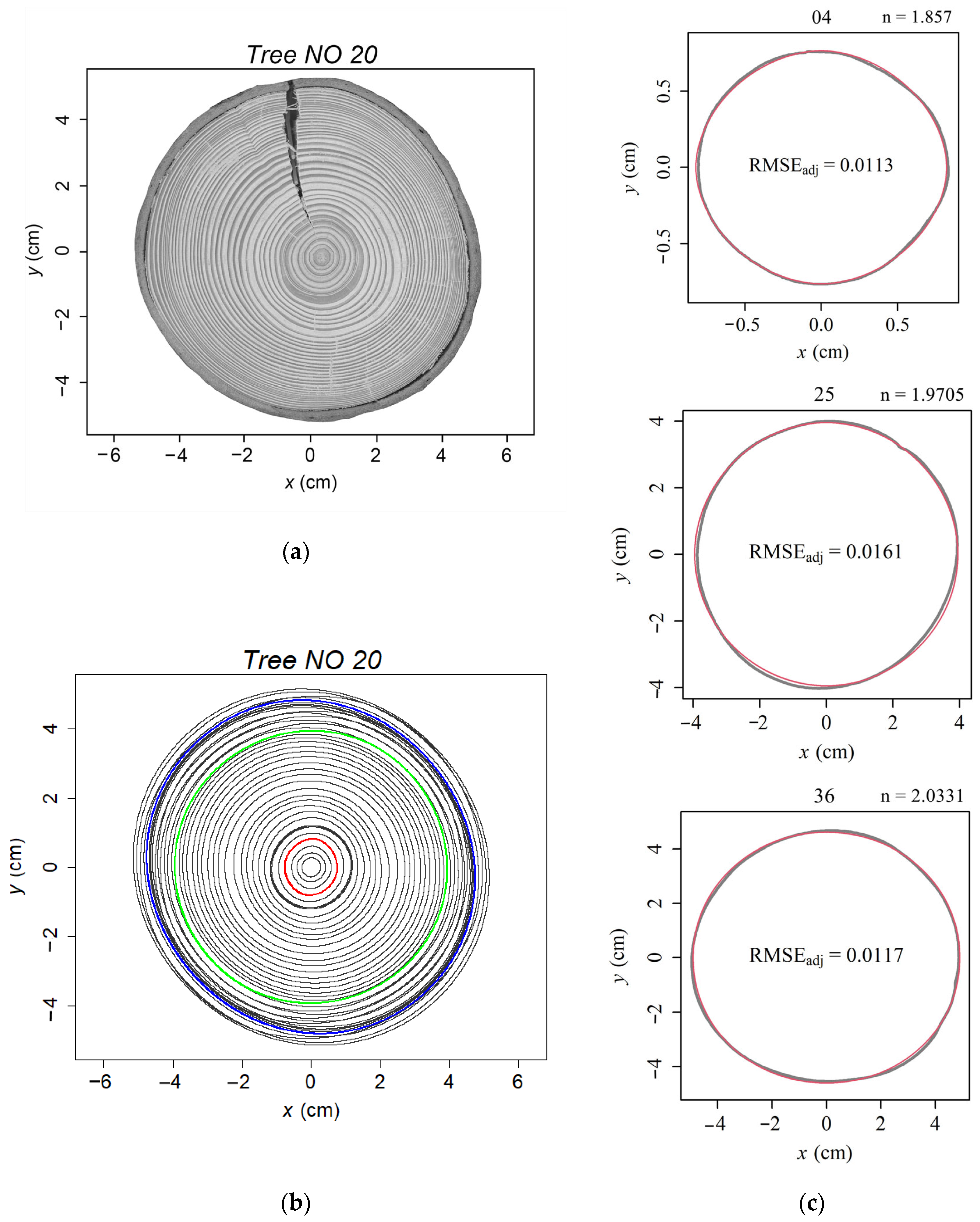 Plants 13 03487 g002