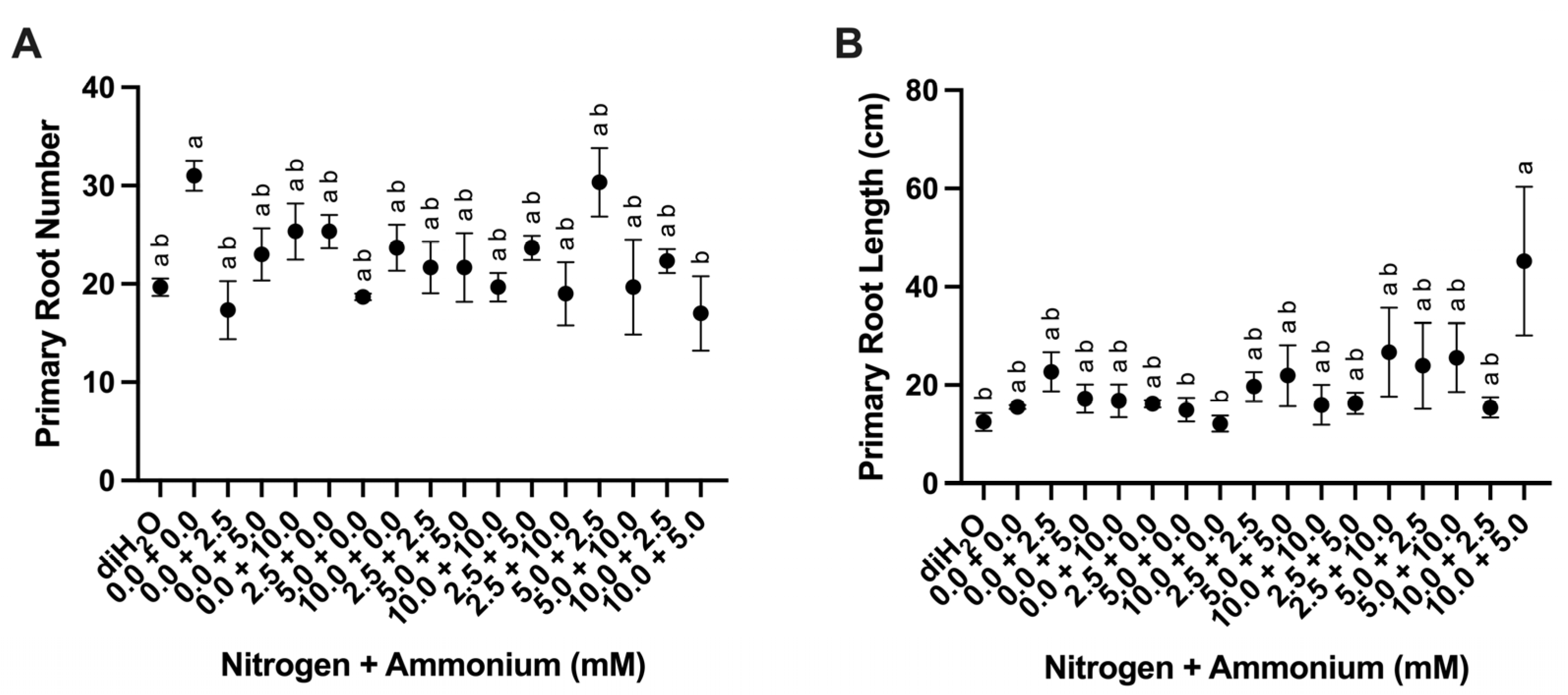 Plants 13 03489 g002