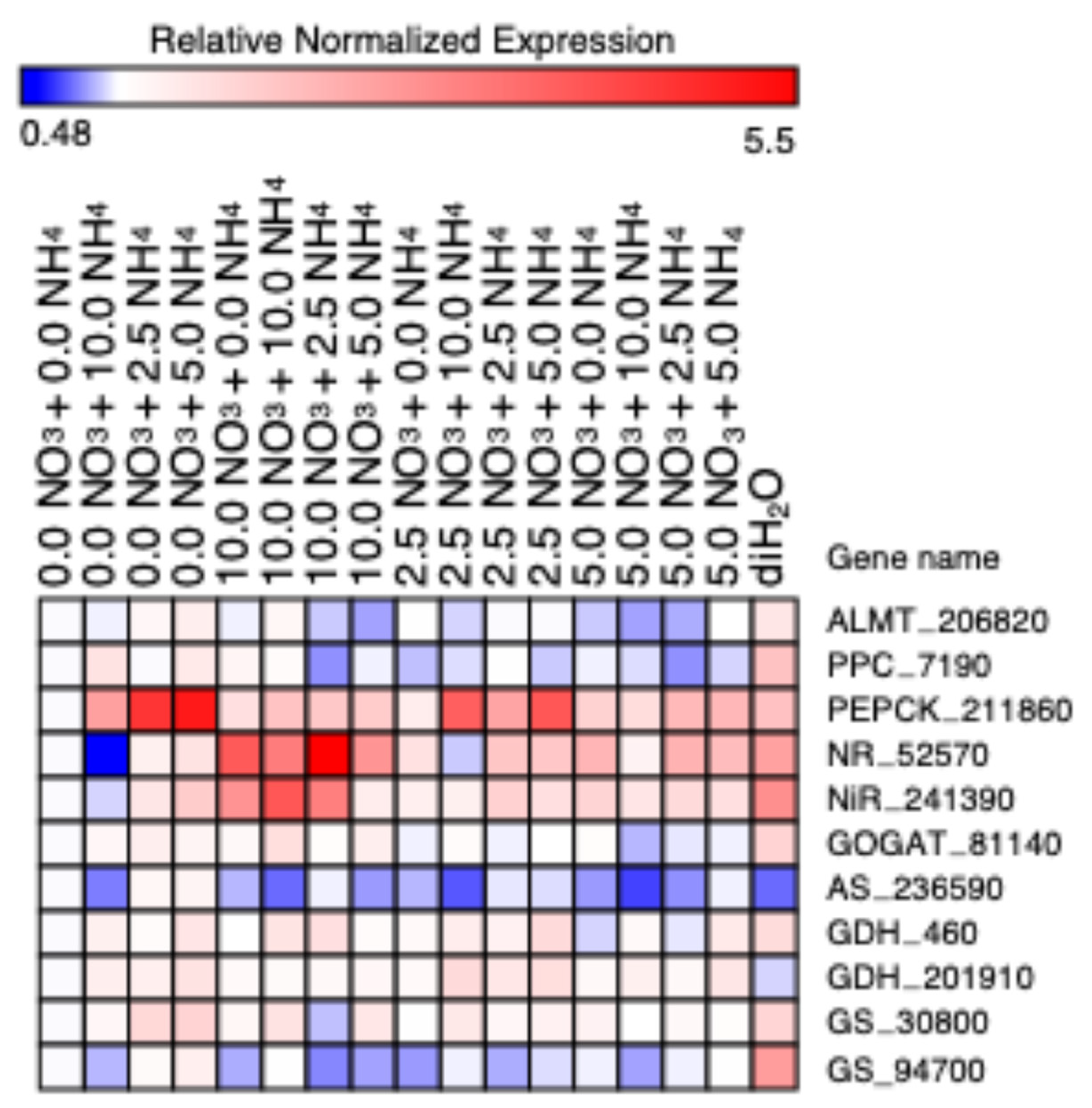 Plants 13 03489 g008