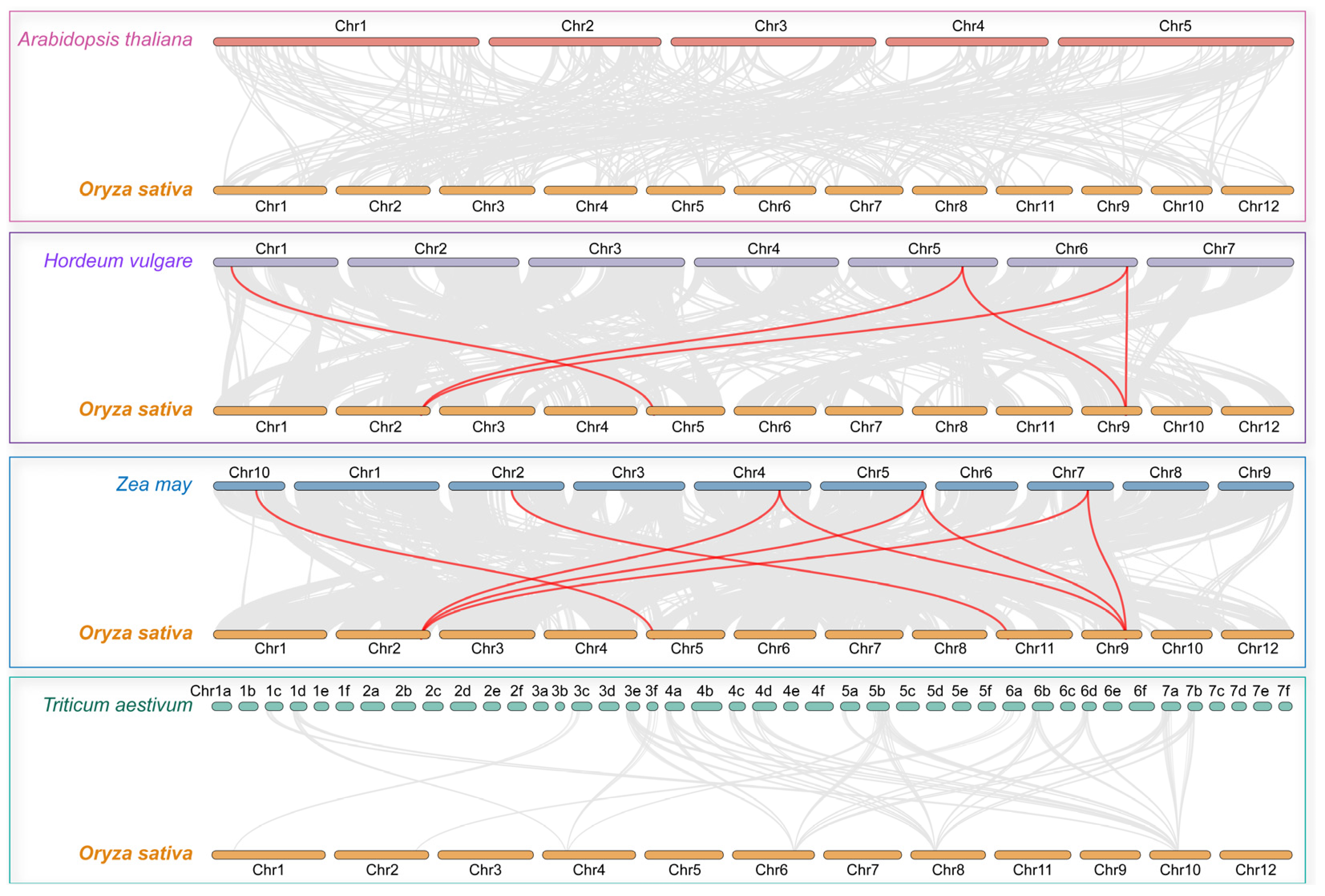Plants 13 03490 g002
