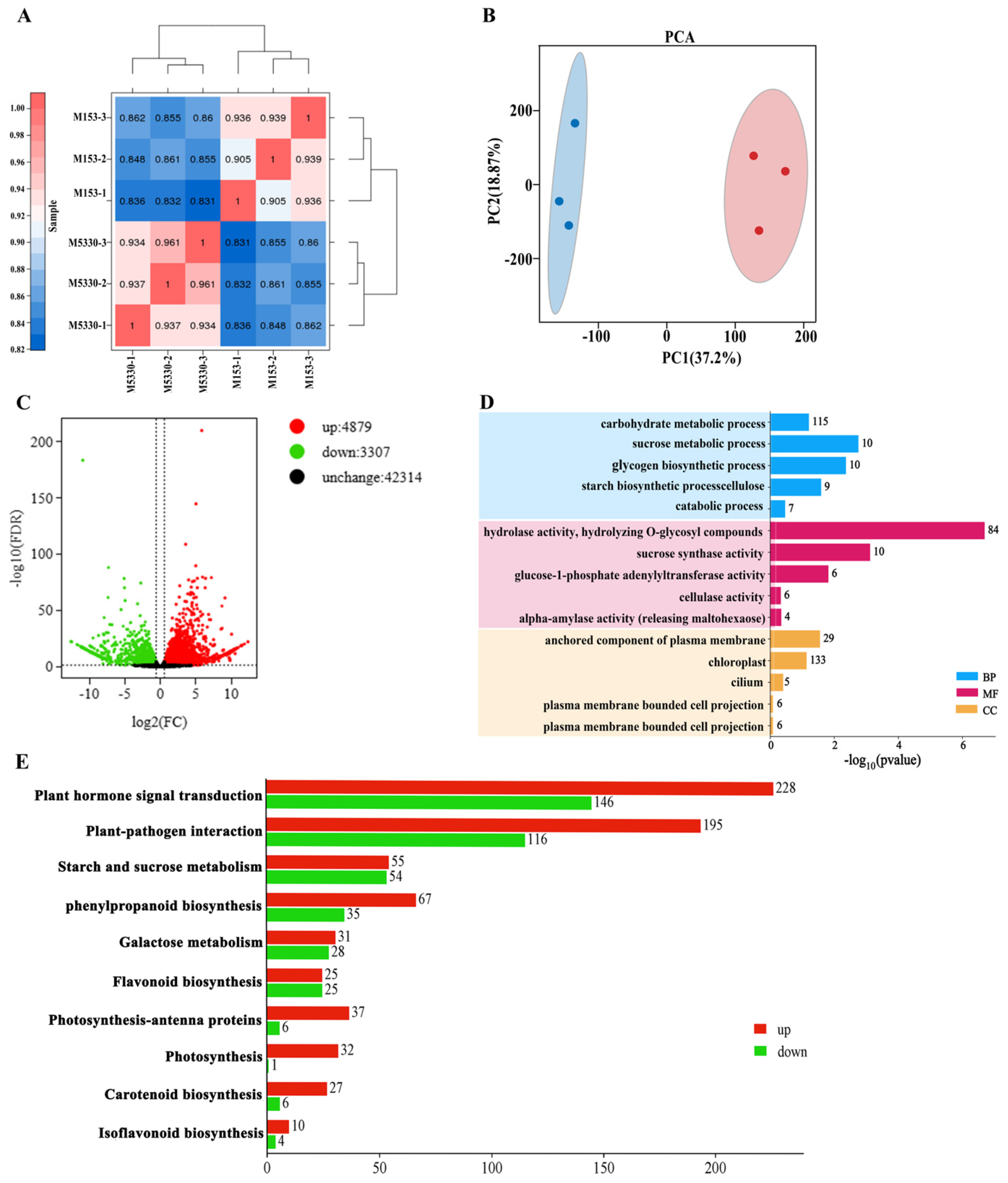 Plants 13 03493 g003