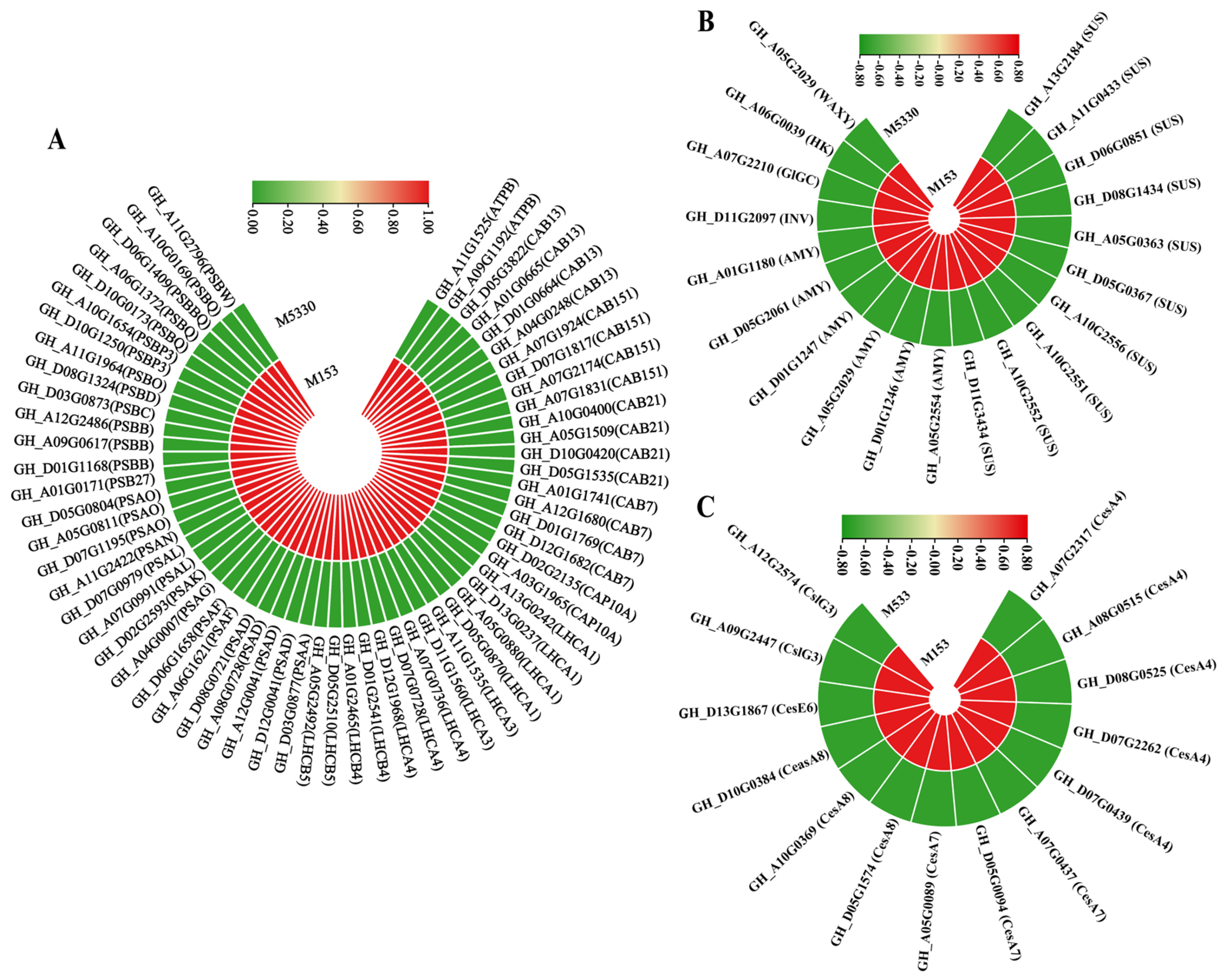 Plants 13 03493 g005