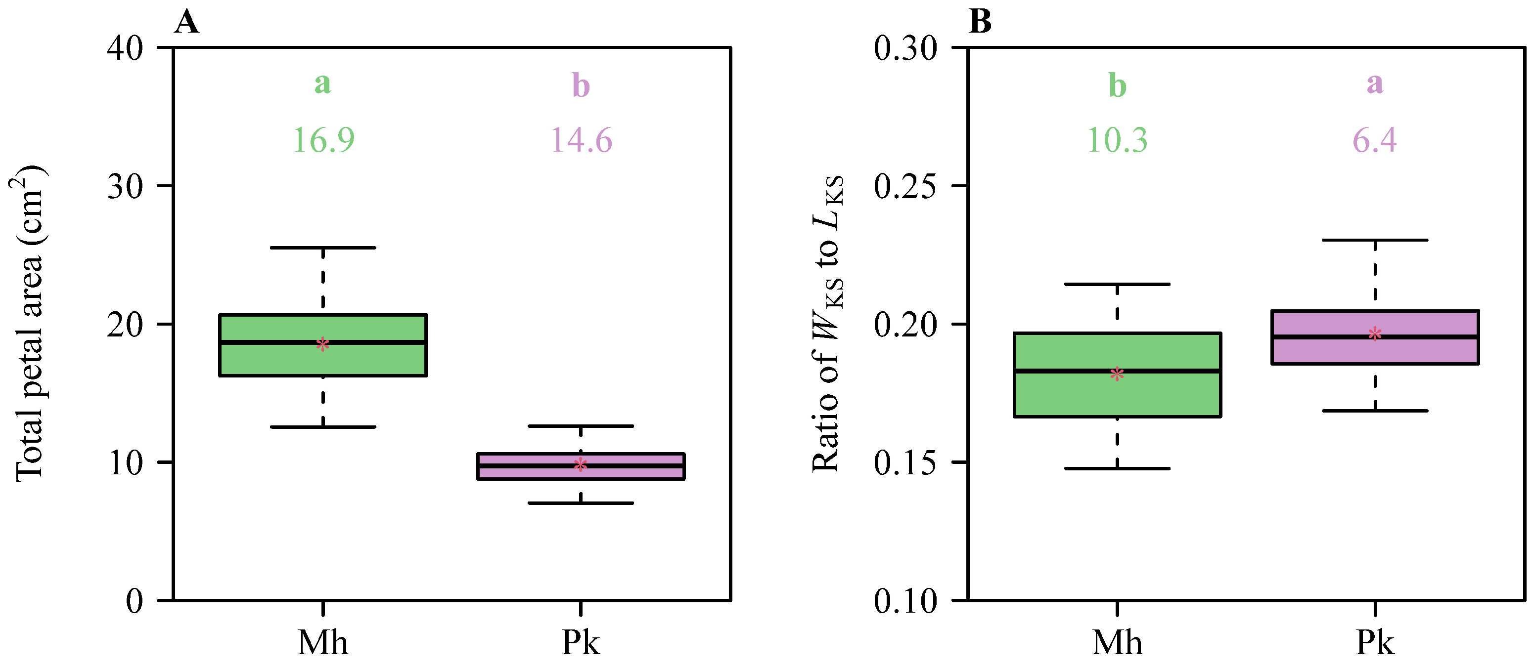 Plants 13 03499 g003