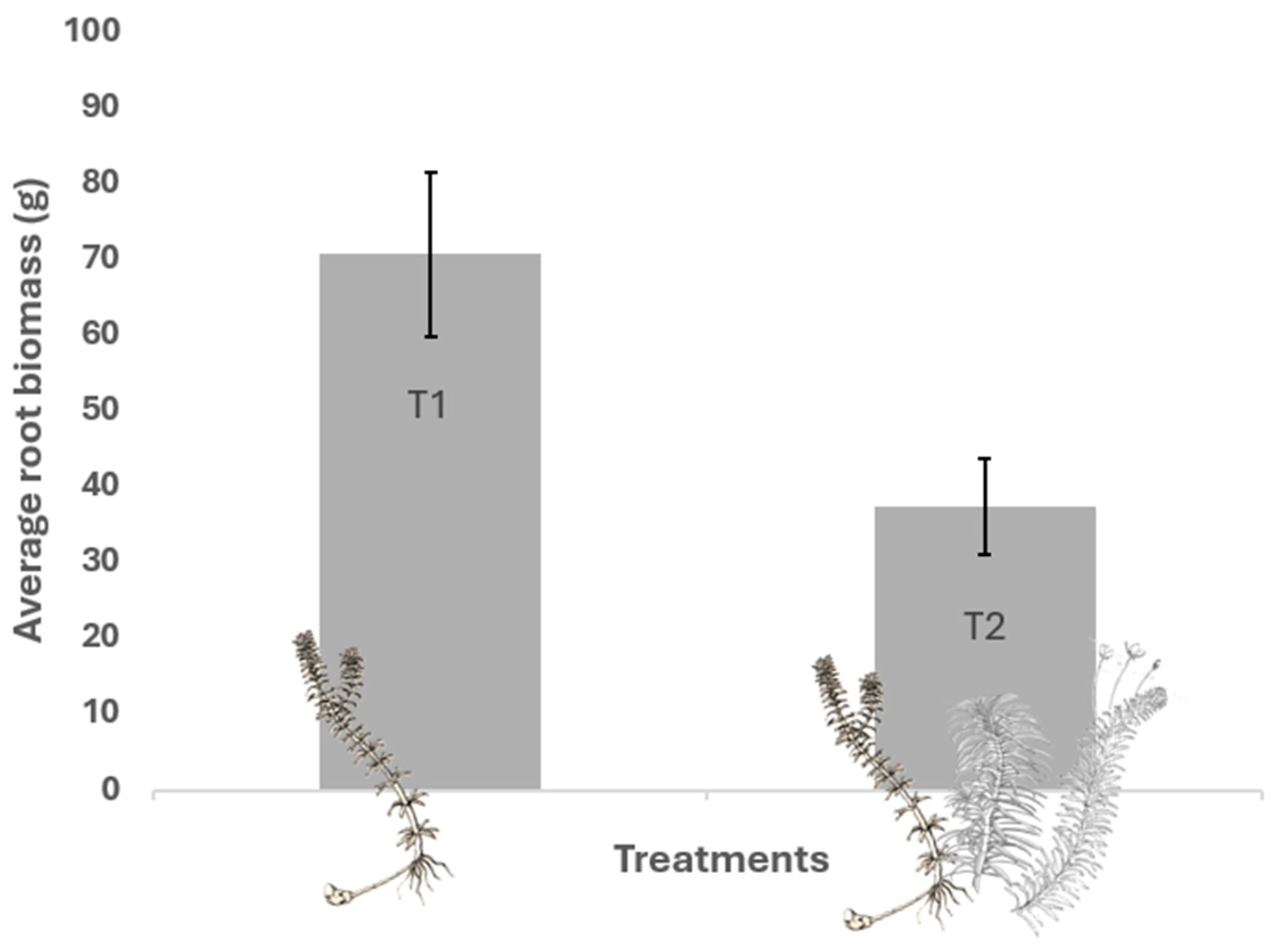 Plants 13 03500 g002
