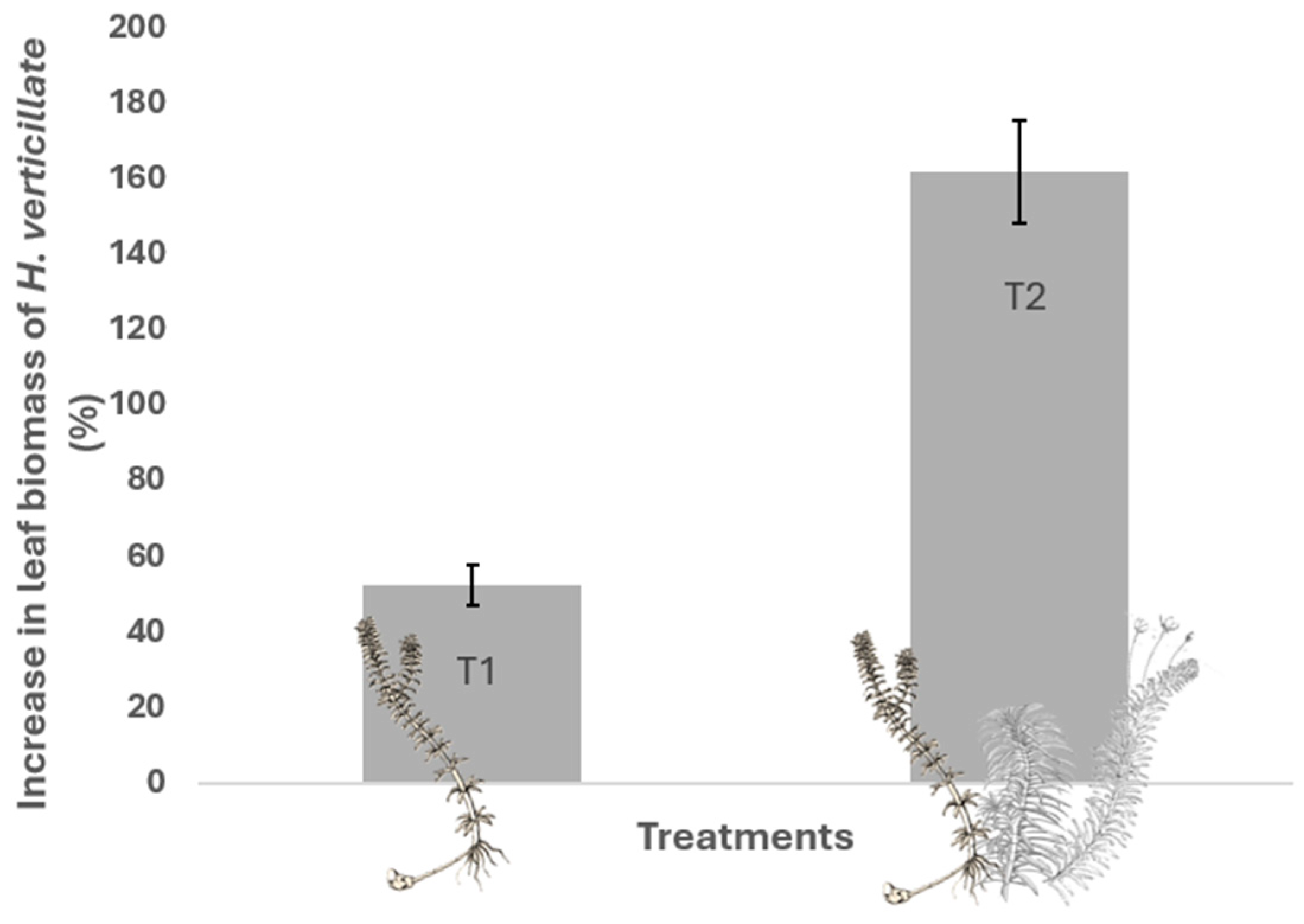 Plants 13 03500 g004